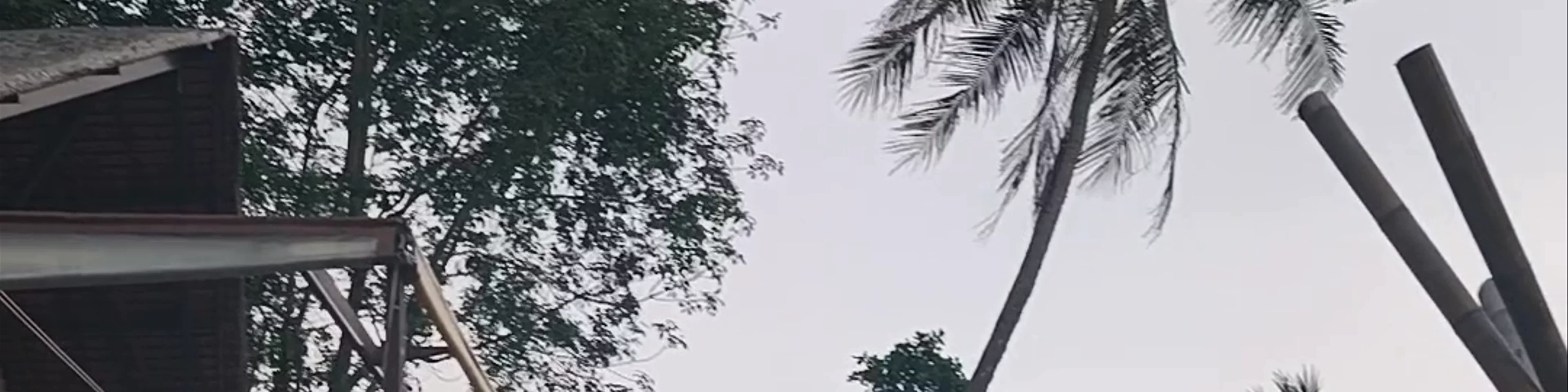 Hornbill Bar