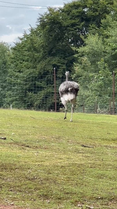 Wildpark Germerode - Zoos Near Me - Meißner, HE