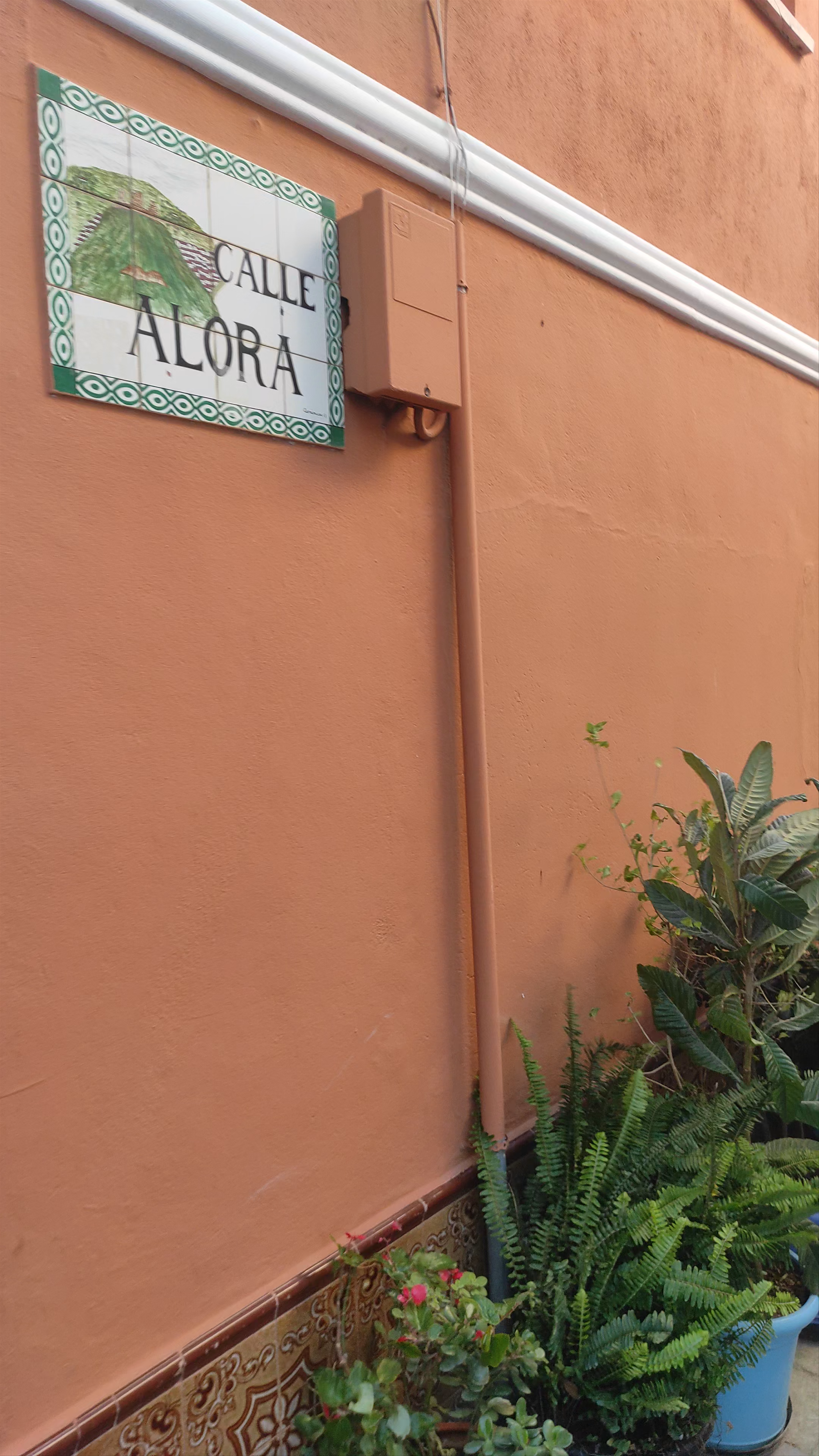 Calle Alora