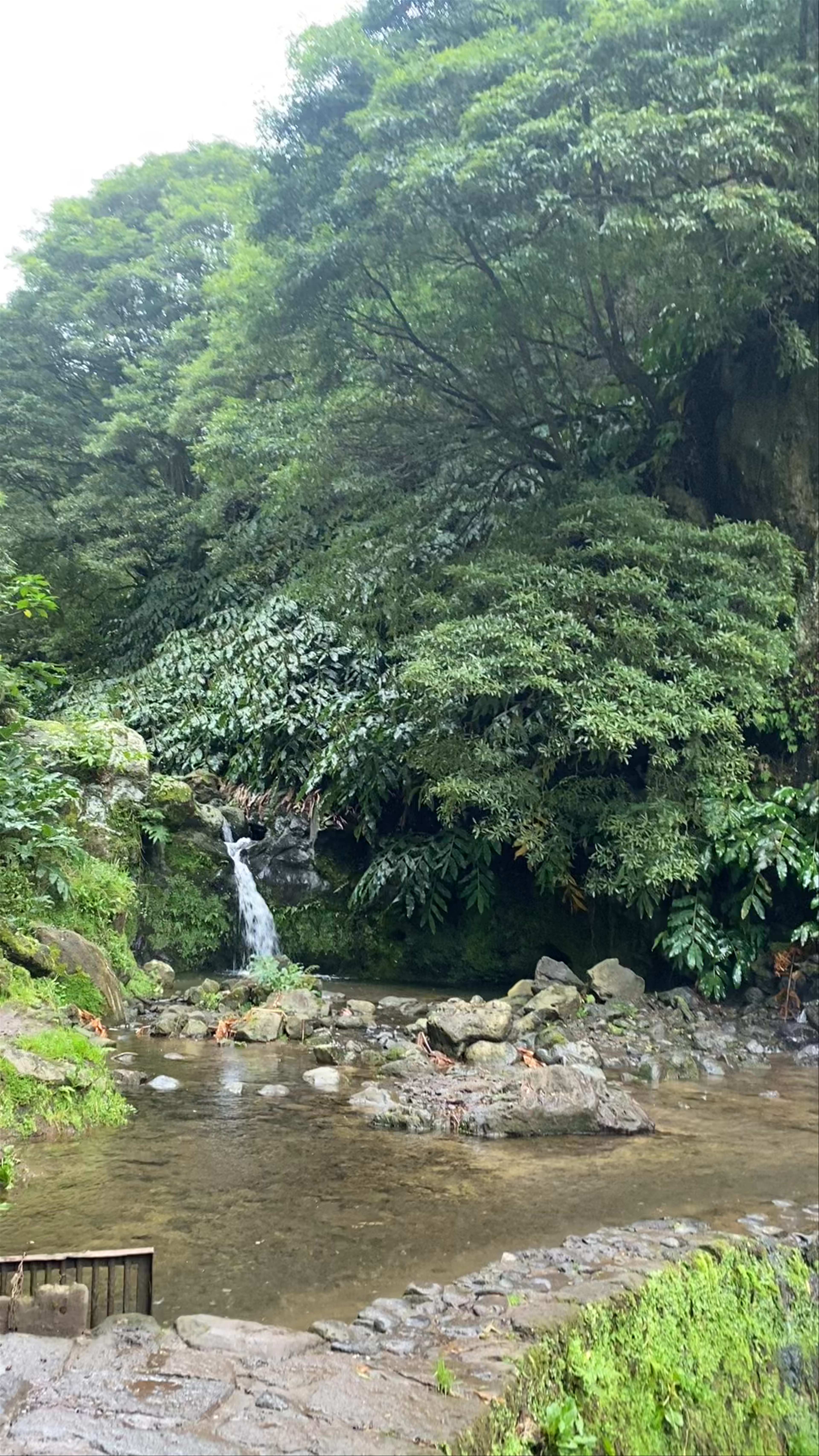 Parque Natural da Ribeira dos Caldeirões