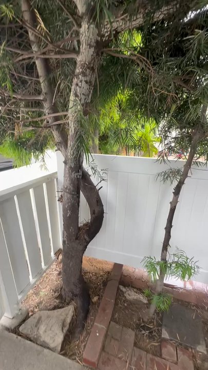 CalVet Fence - New vinyl fence from Calvet - Fences & Gates Near Me - Brea, California