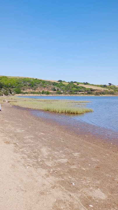 Millerton Point - Views of Tomales Bay from the shore - Hiking Near Me - Millerton, California
