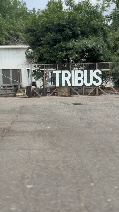 Tribus Beer Co. - Breweries Near Me - Milford, Connecticut