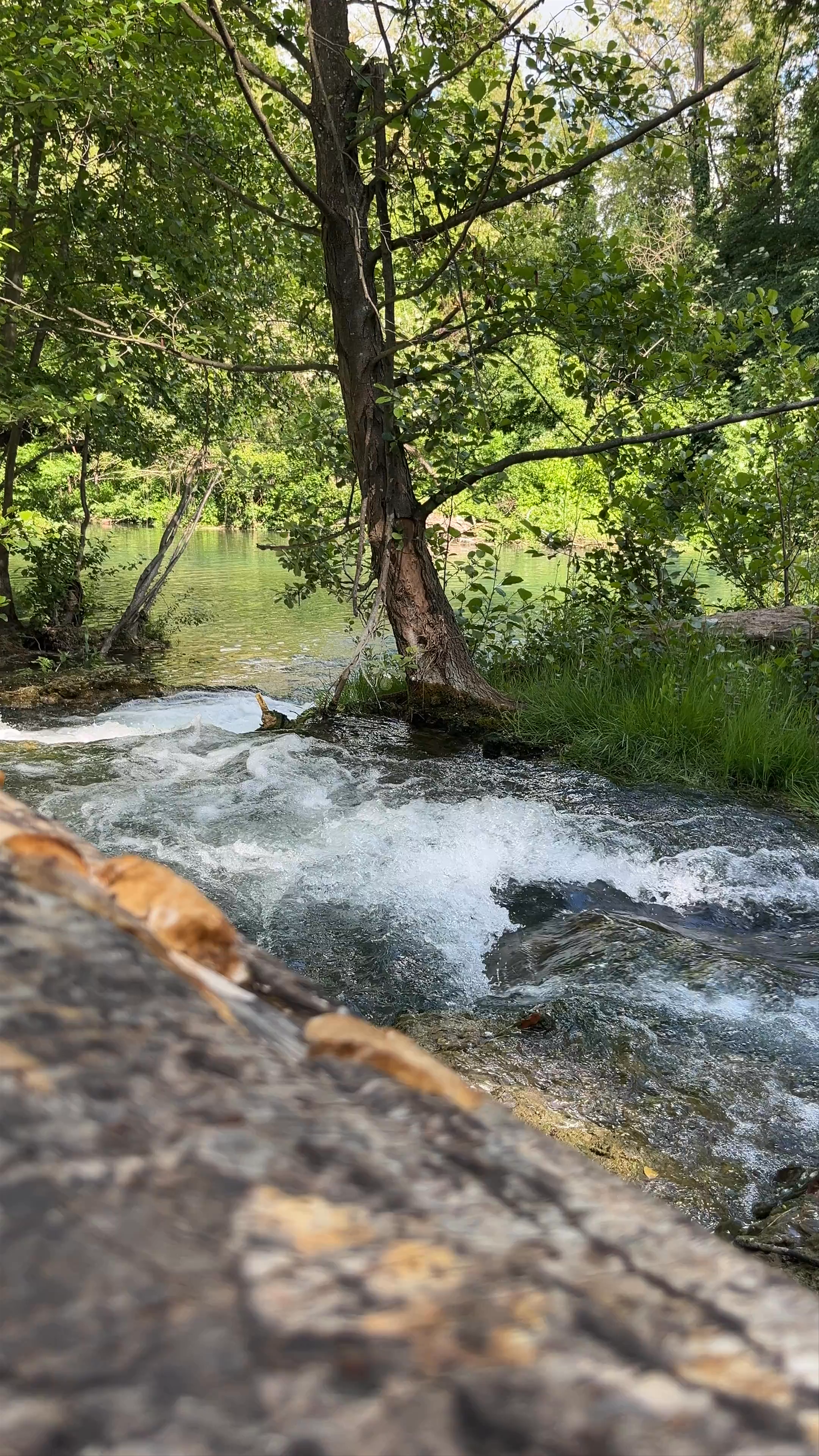 Parco Fluviale Alta Val D'Elsa
