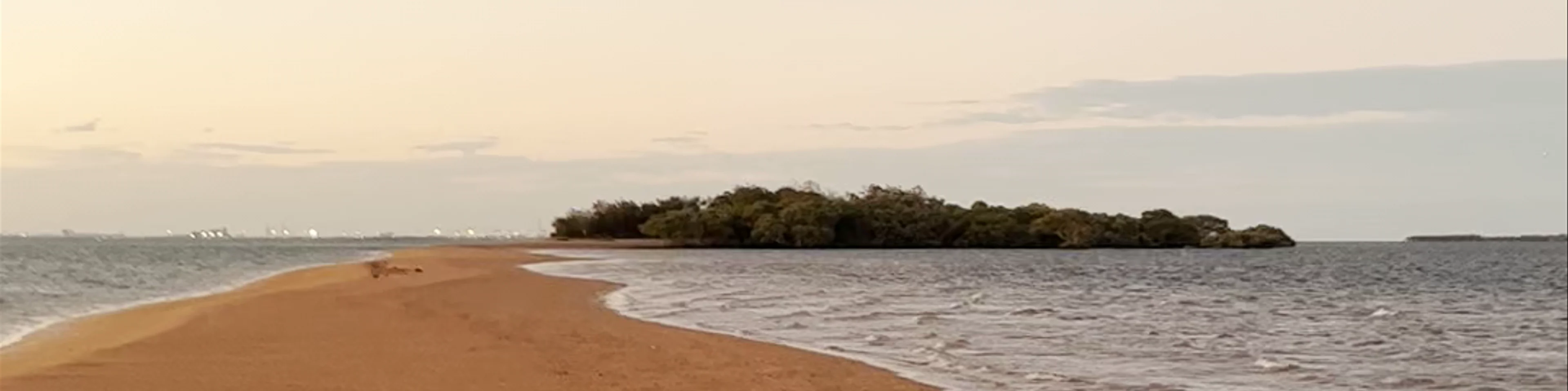 King Island