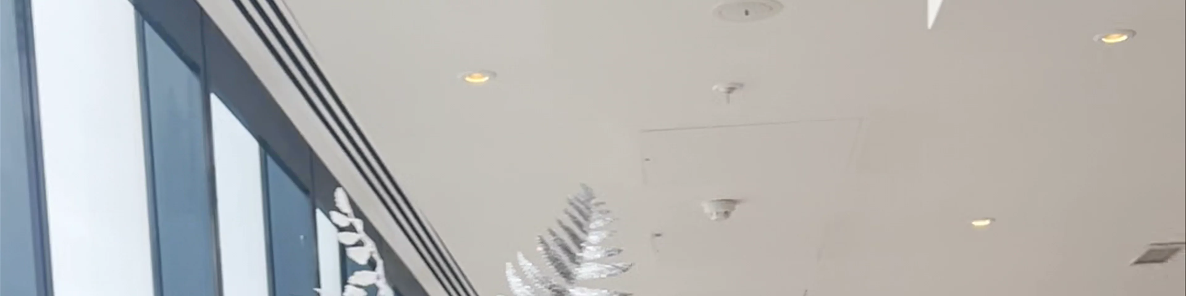 Cloud 23