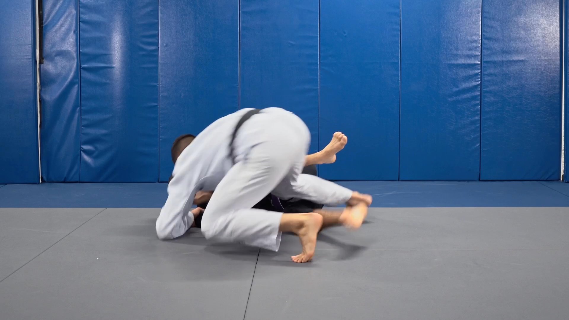 柔術　DYNAMIC SPIDER GUARD 　DVD Everyday Porrada Spider Guard by Romulo Barral – BJJ Fanatics