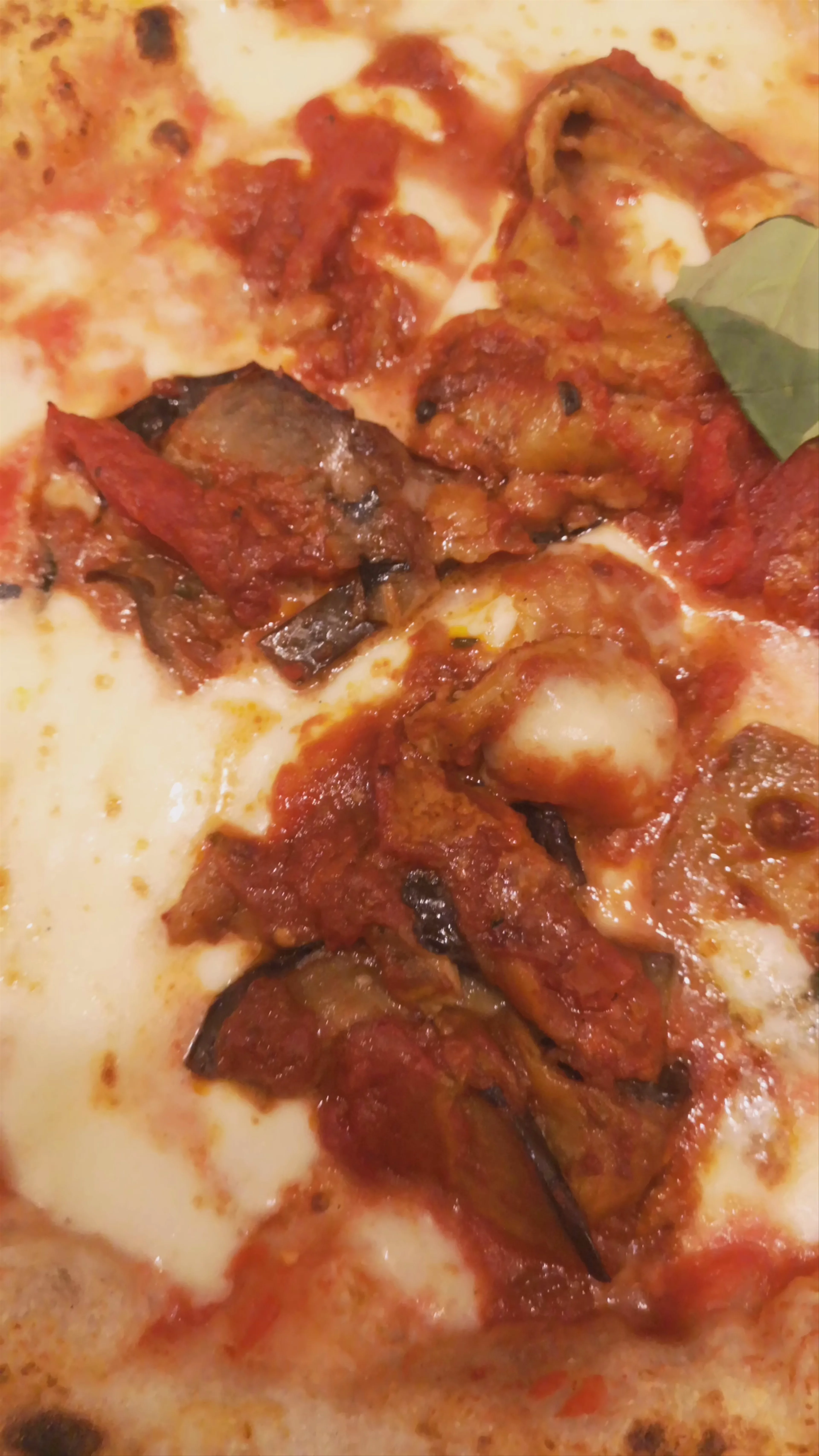 Fresco Trattoria Pizzeria