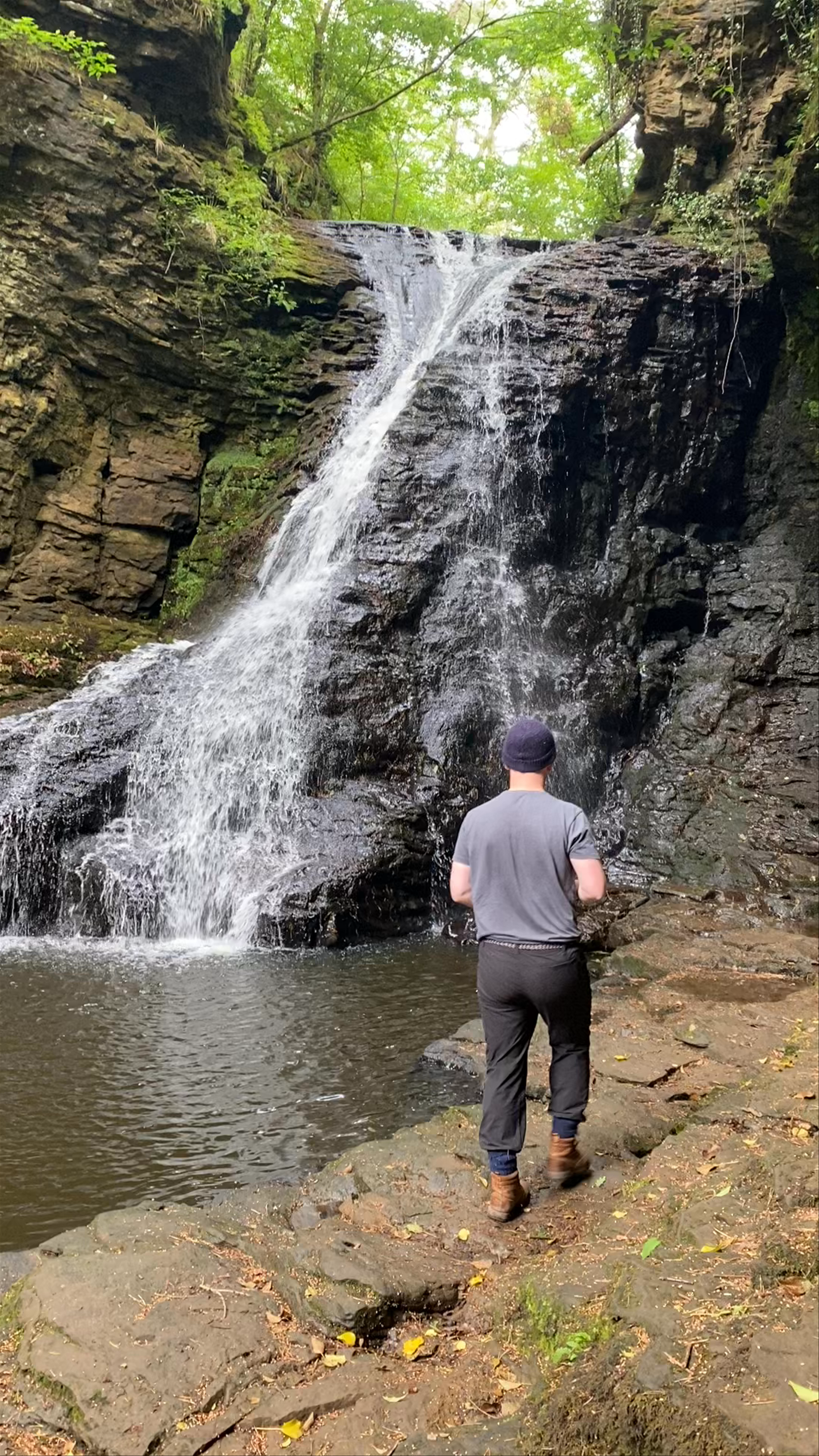 Hareshaw Linn Waterfall ~ Bellingham 