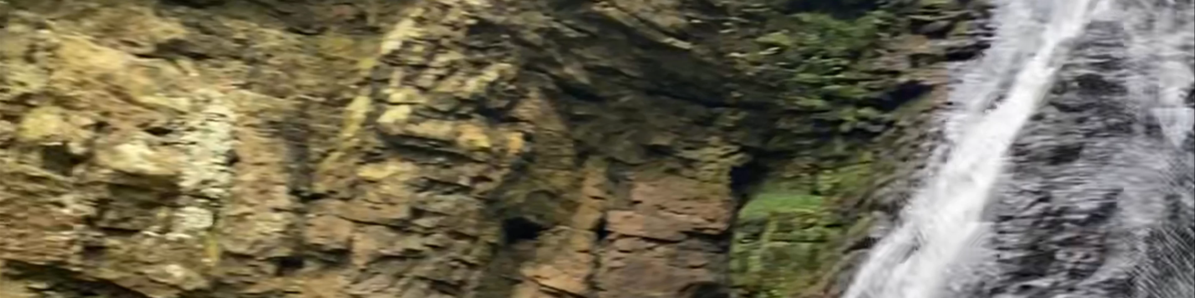 Hareshaw Linn Waterfall ~ Bellingham 