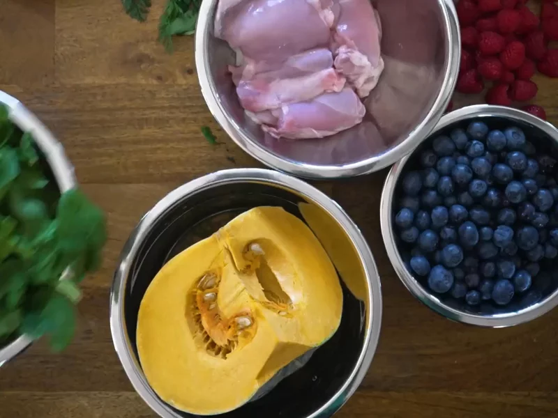 Dog Food New Years Resolution