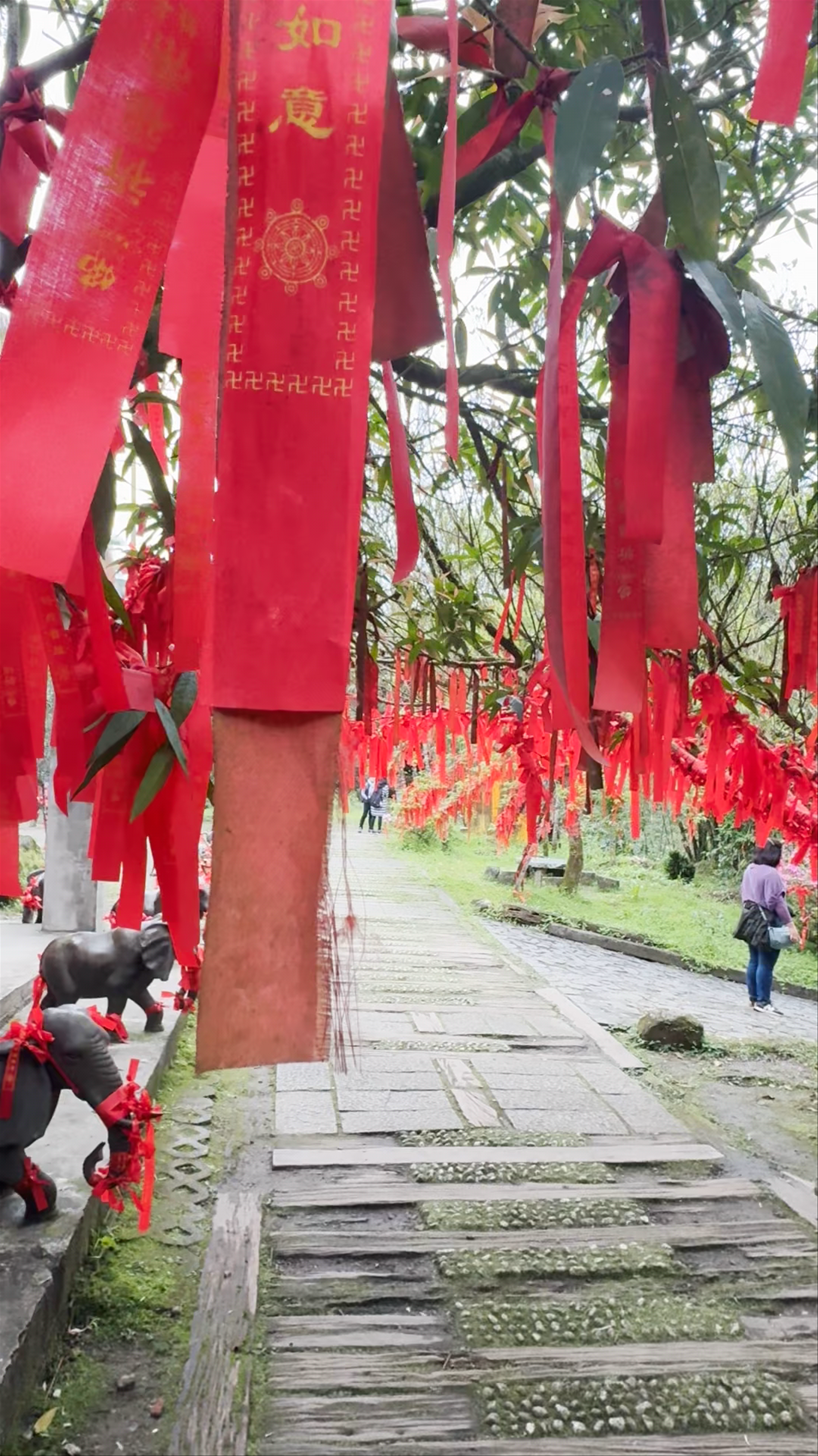Shifen Station: Red Ribbon Wishes in Taiwan's Misty Forest