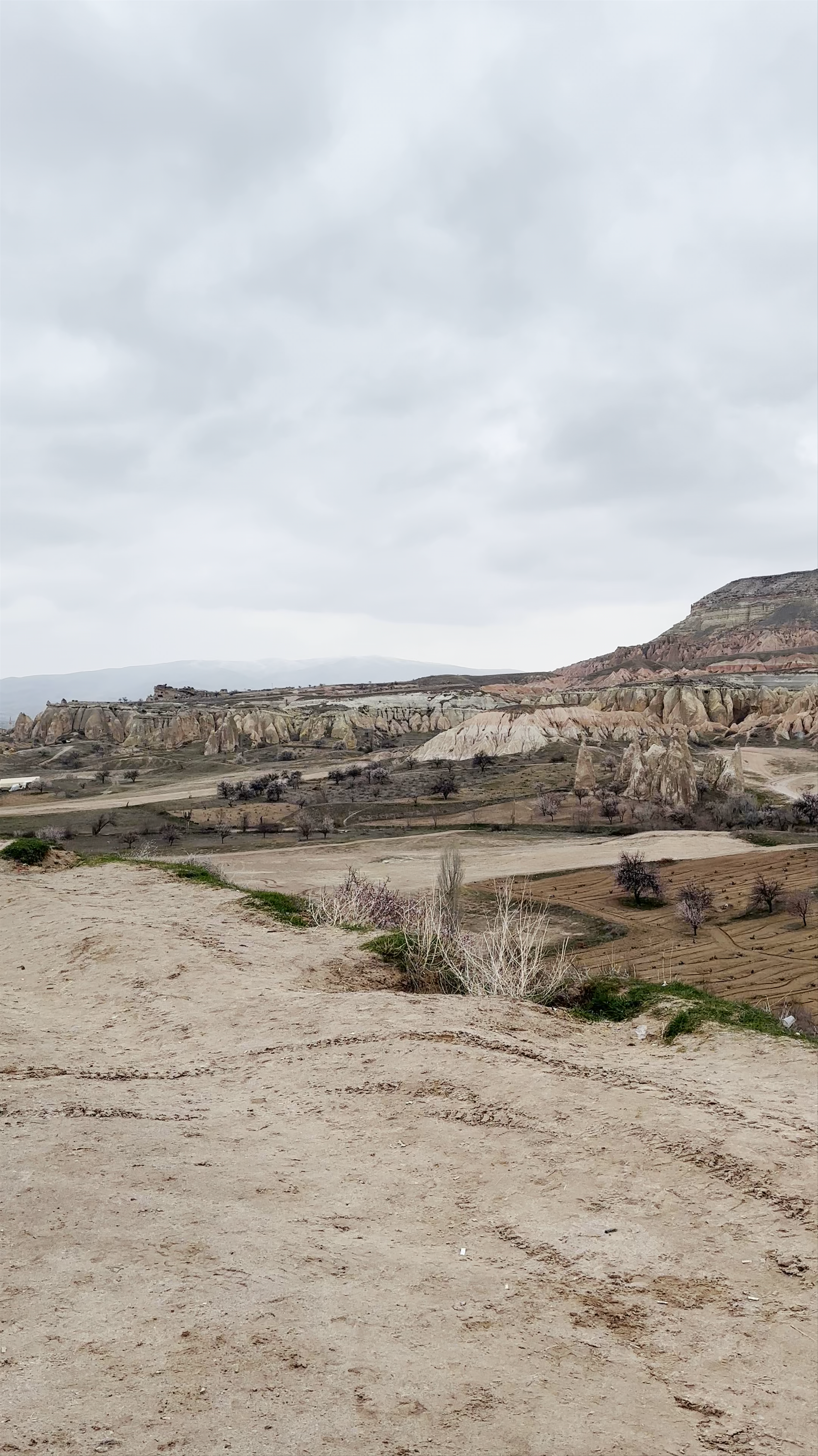 Rose Valley