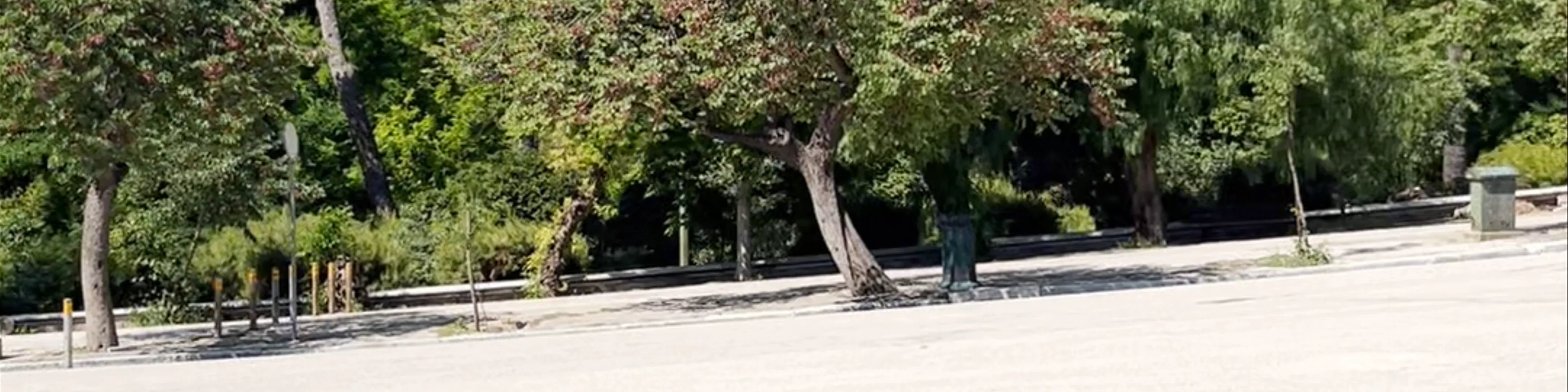 Zappeion Garden