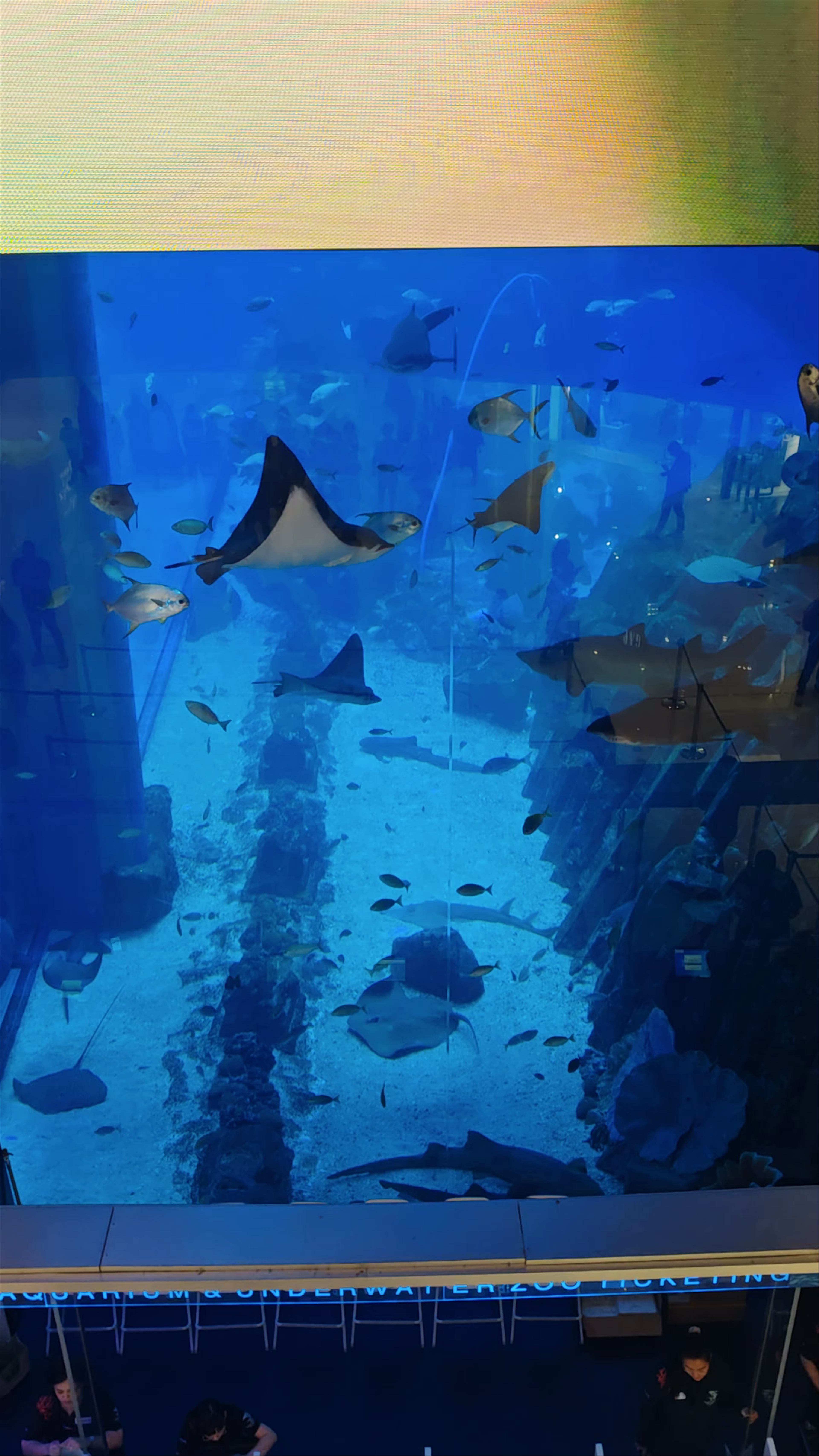 Dubai Aquarium & Underwater Zoo - Dubai - United Arab Emirates