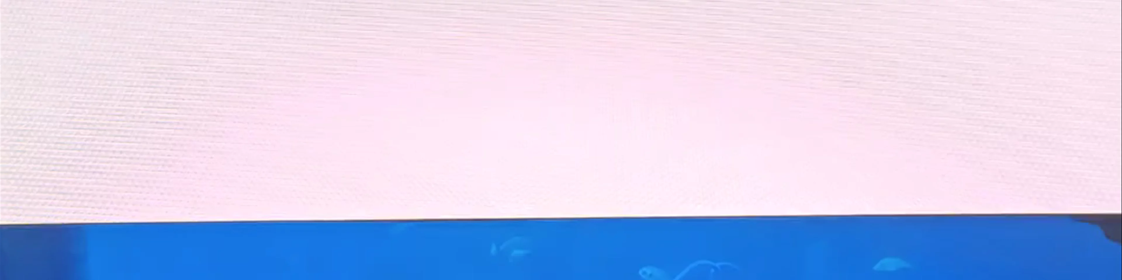 Dubai Aquarium & Underwater Zoo - Dubai - United Arab Emirates