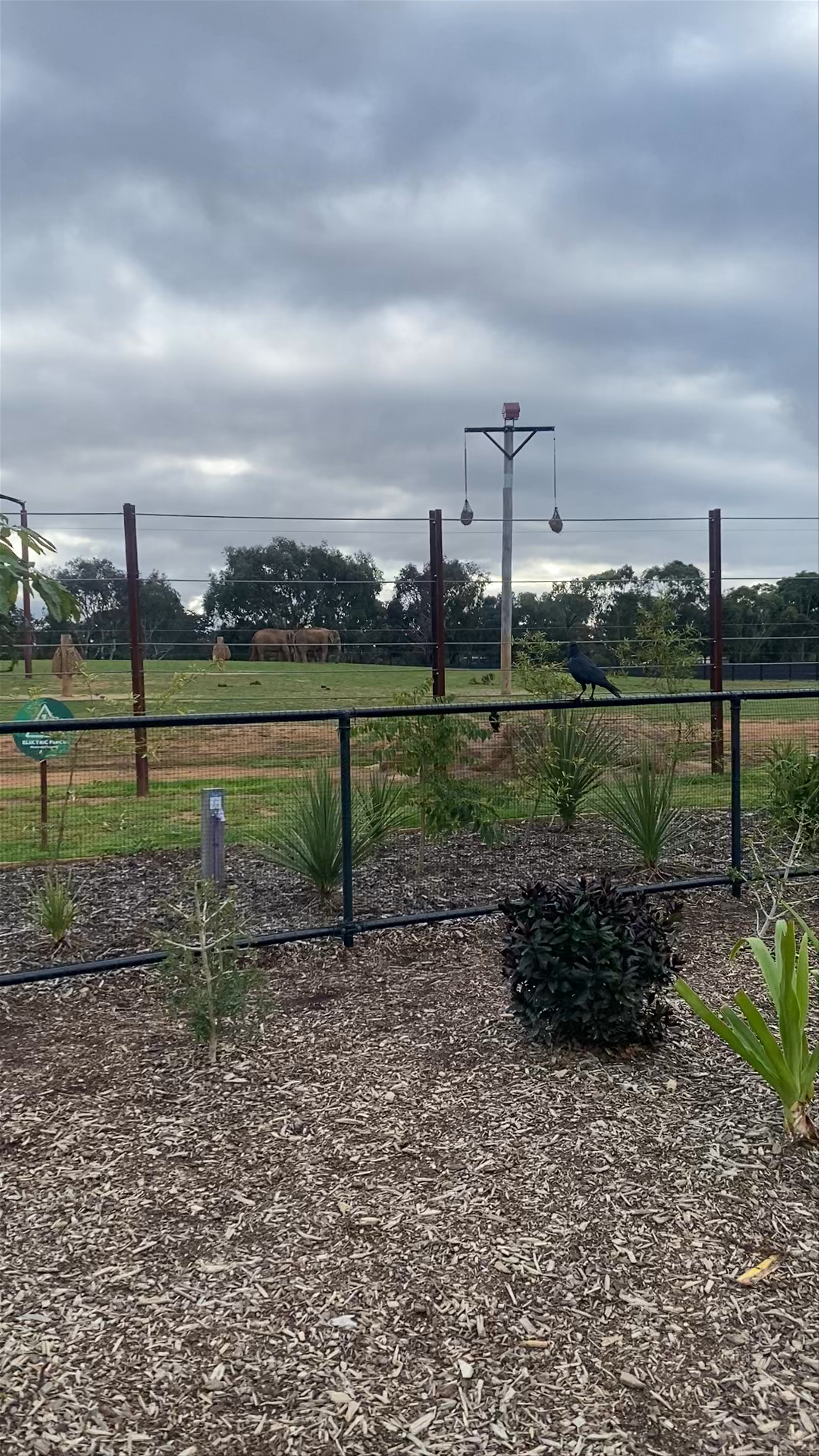 Werribee Open Range Zoo