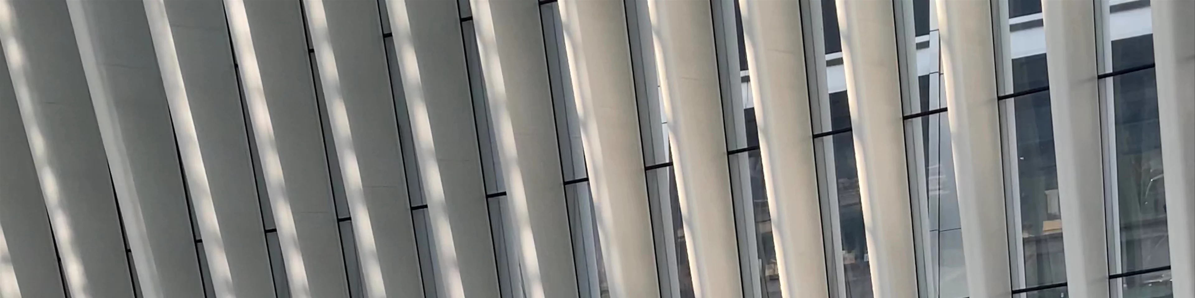Oculus New York