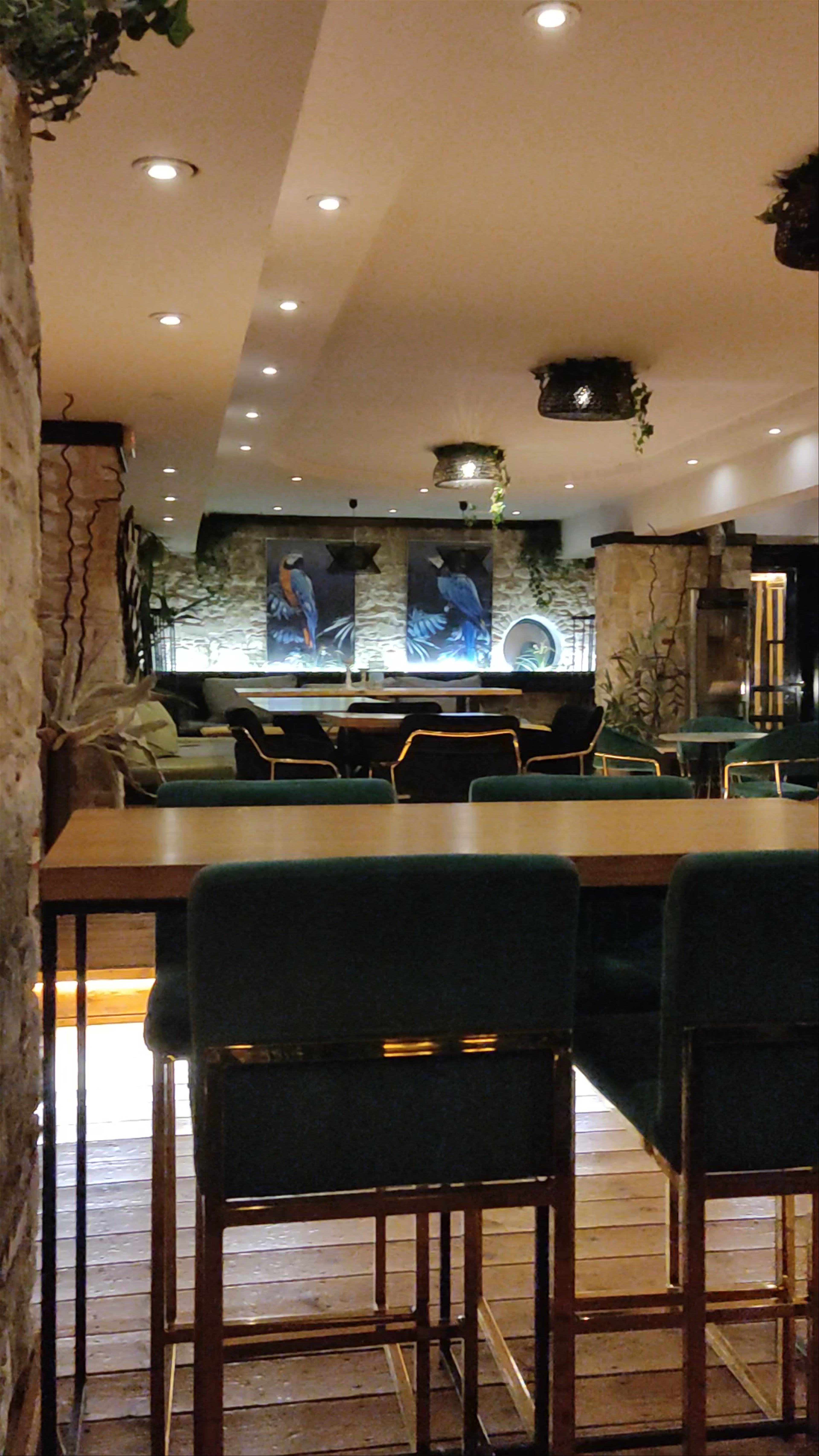 Waikiki Coffee House