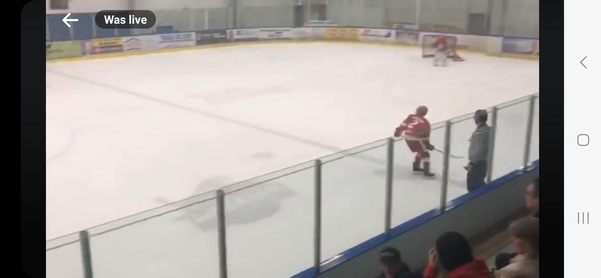 2023? Older Junior Greyhound footage