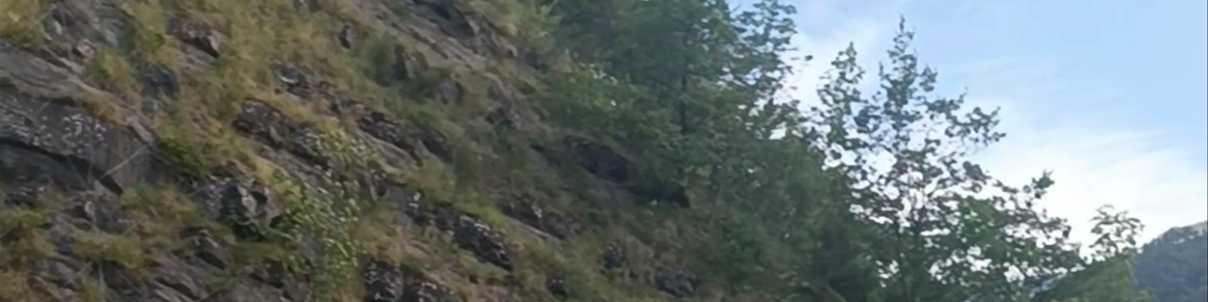Battello Lago di Ridracoli
