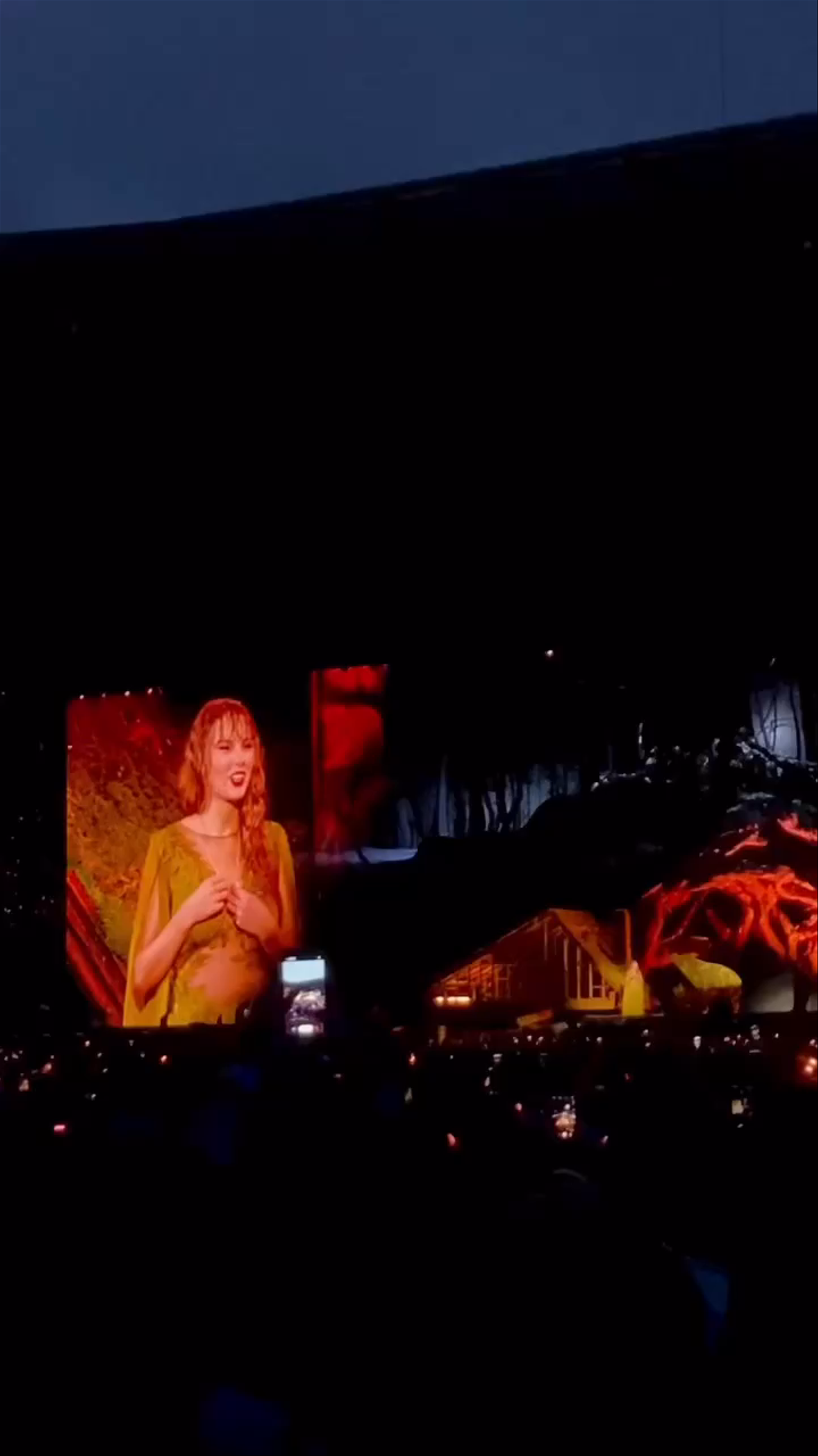 Evening Concert Experience at Groupama Stadium, Décines-Charpieu