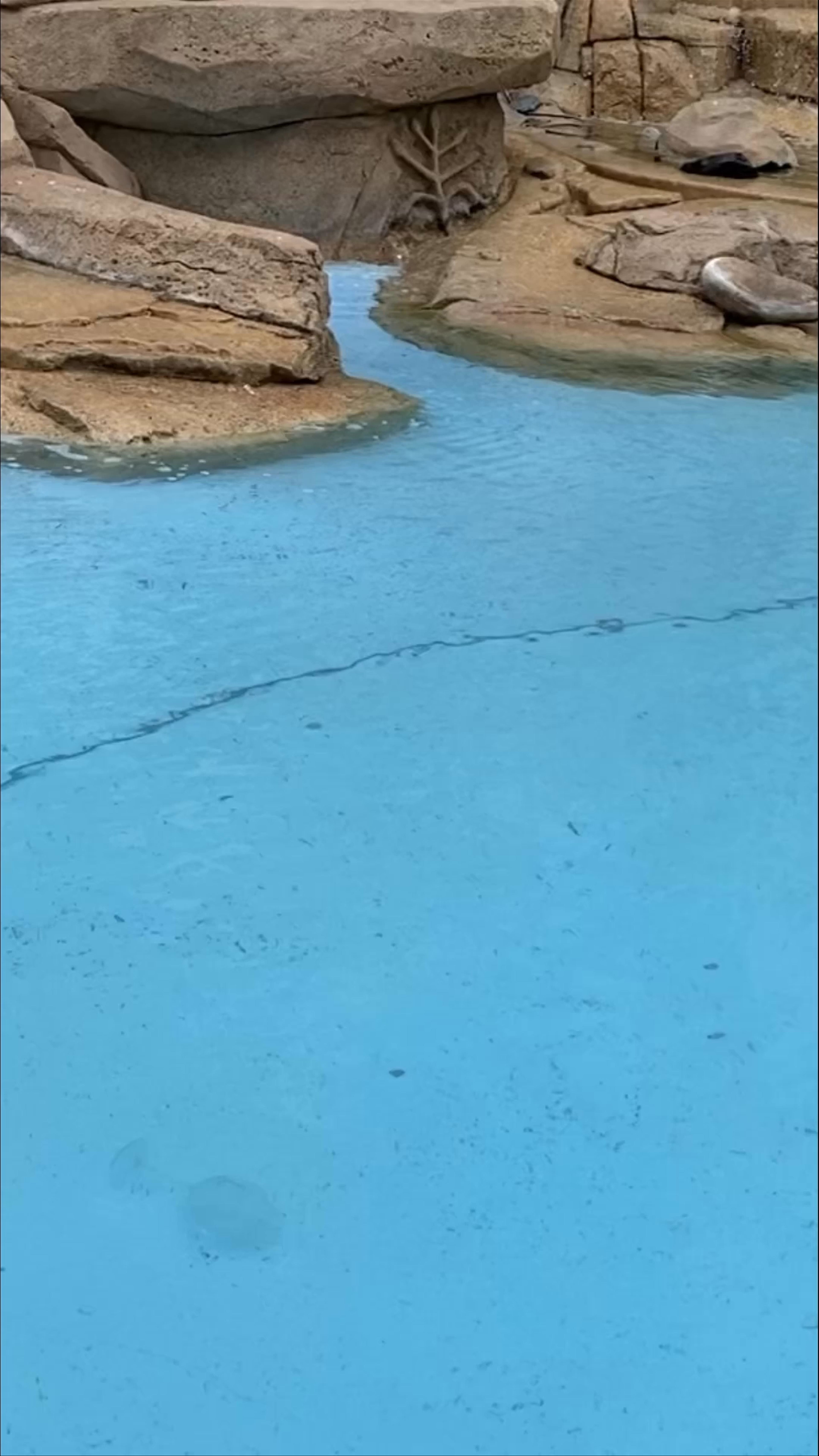 Trevi Fountain