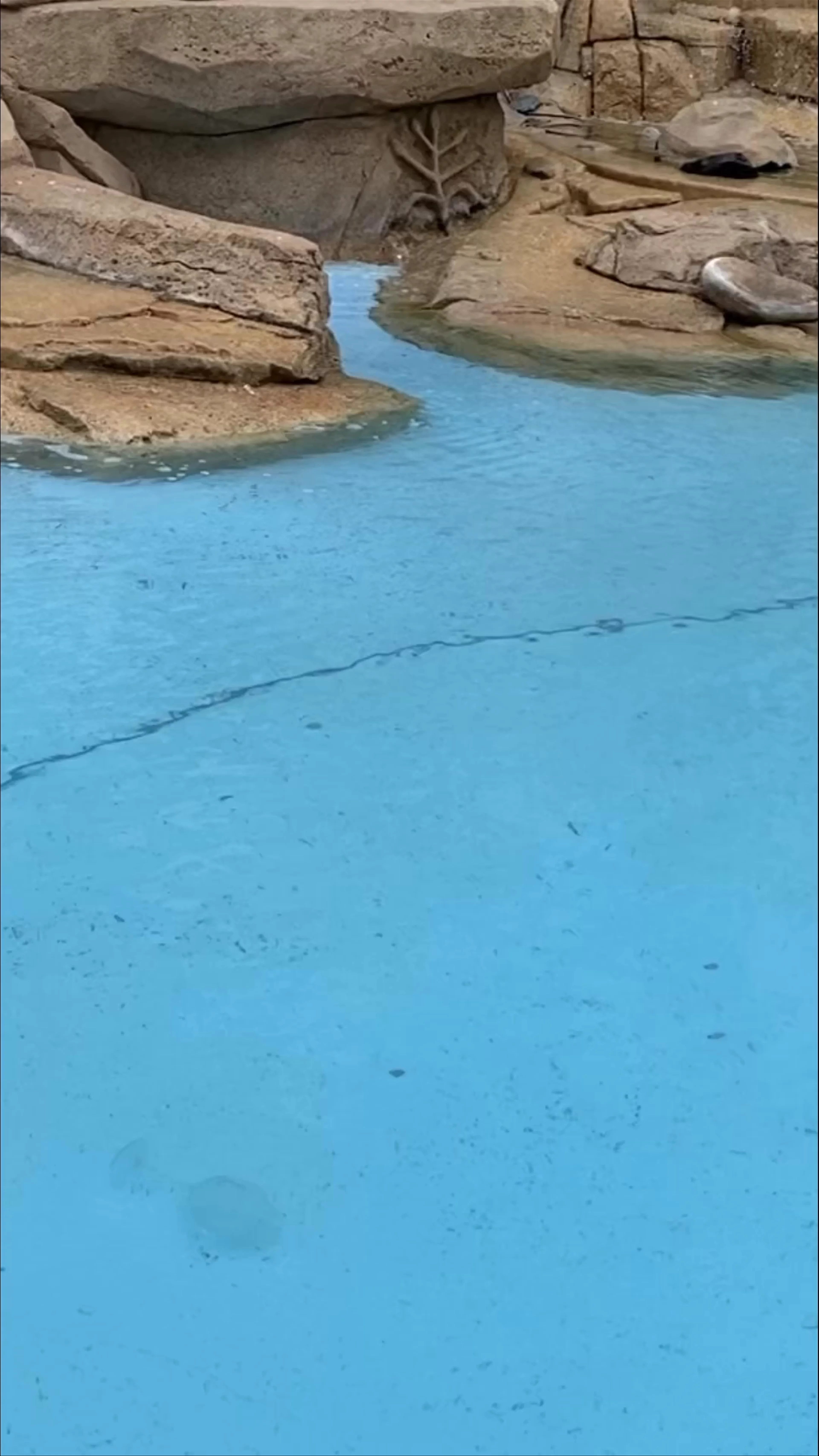 Trevi Fountain