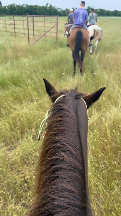Southfork Ranch - Ranches Near Me - Parker, Texas