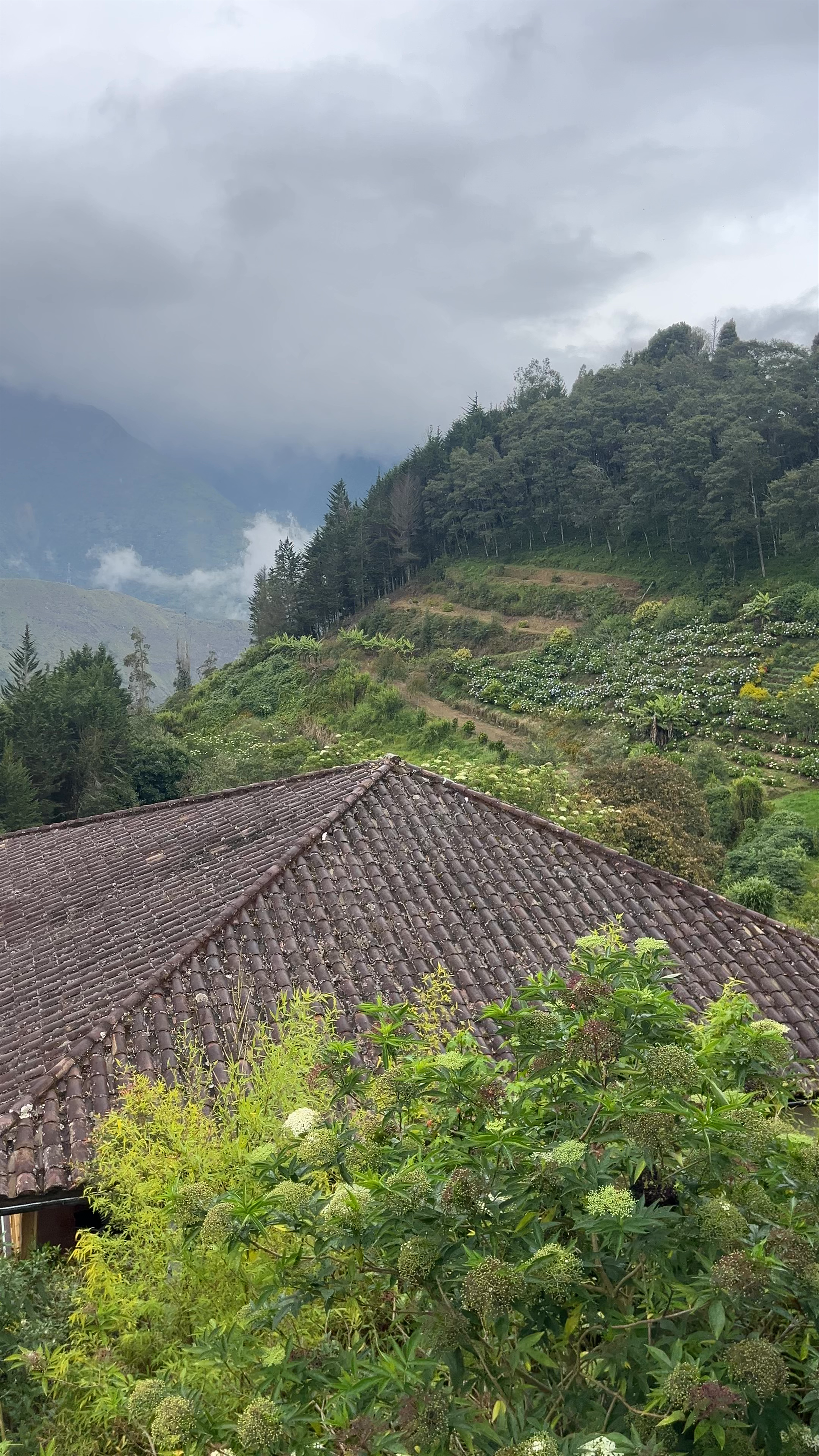 Majestic Cloud-Covered Mountains and Lush Greenery in Baños de Agua Santa, Ecuador