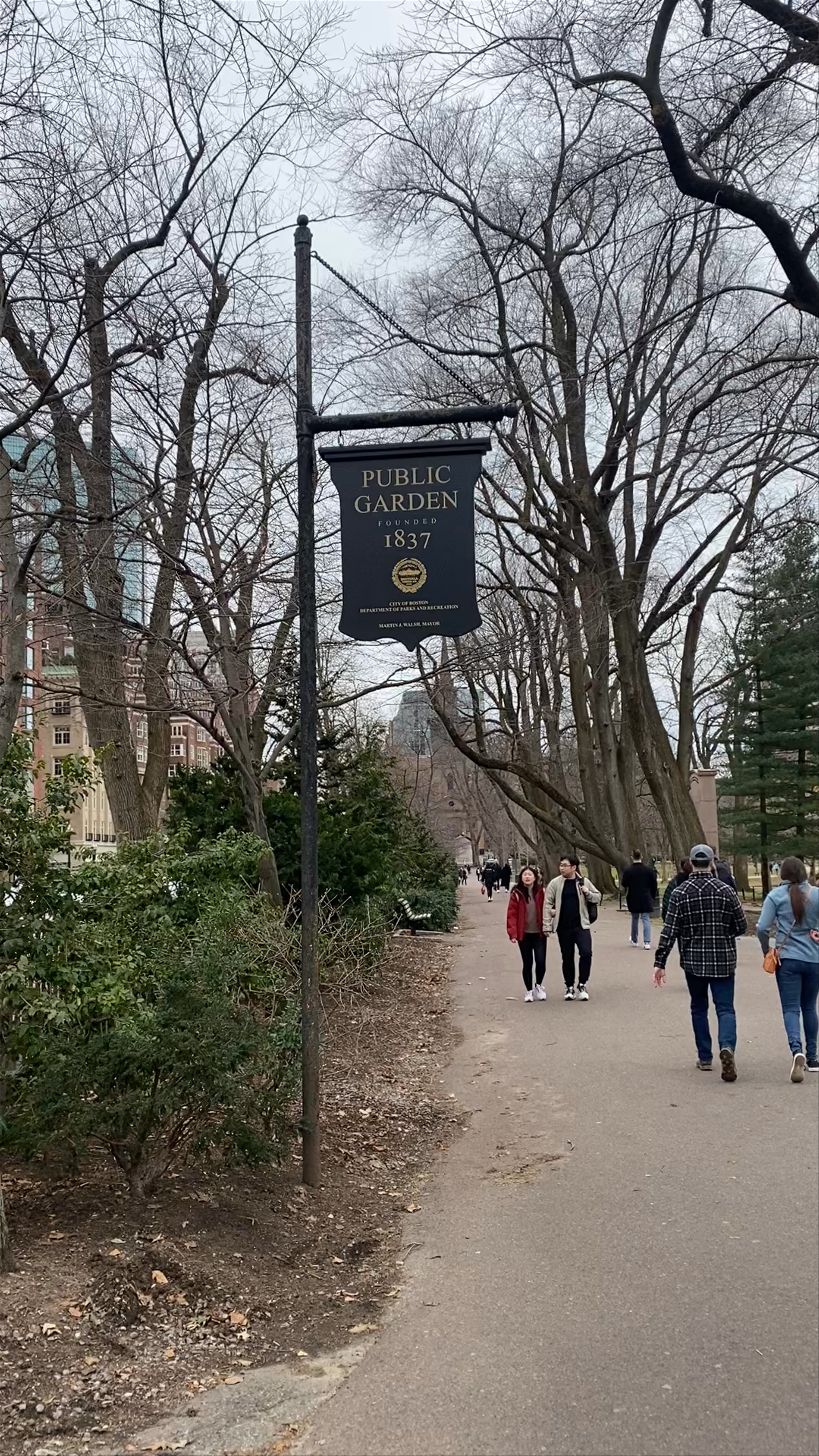 Winter Walk at Boston Public Garden