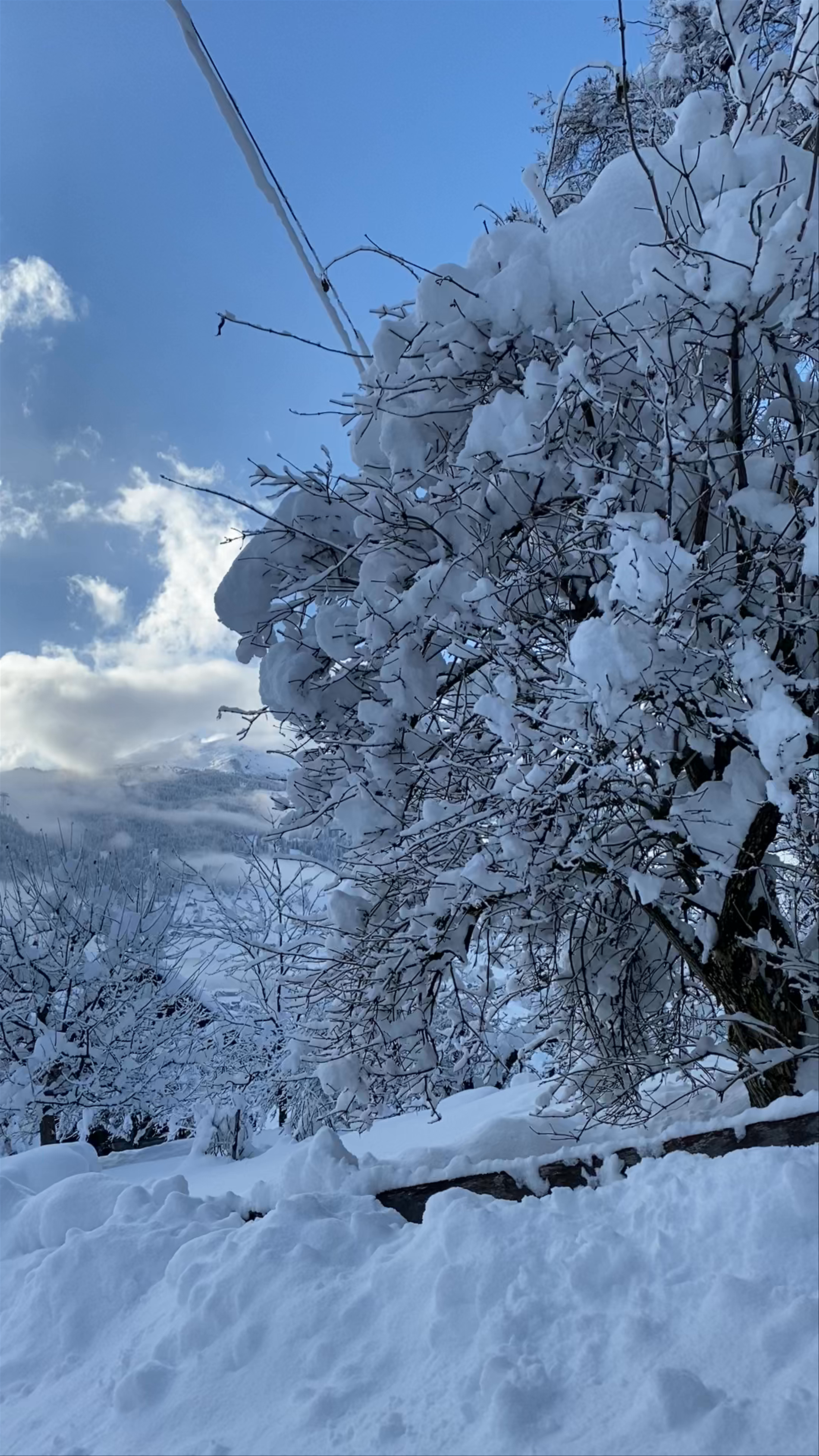 Grindelwald