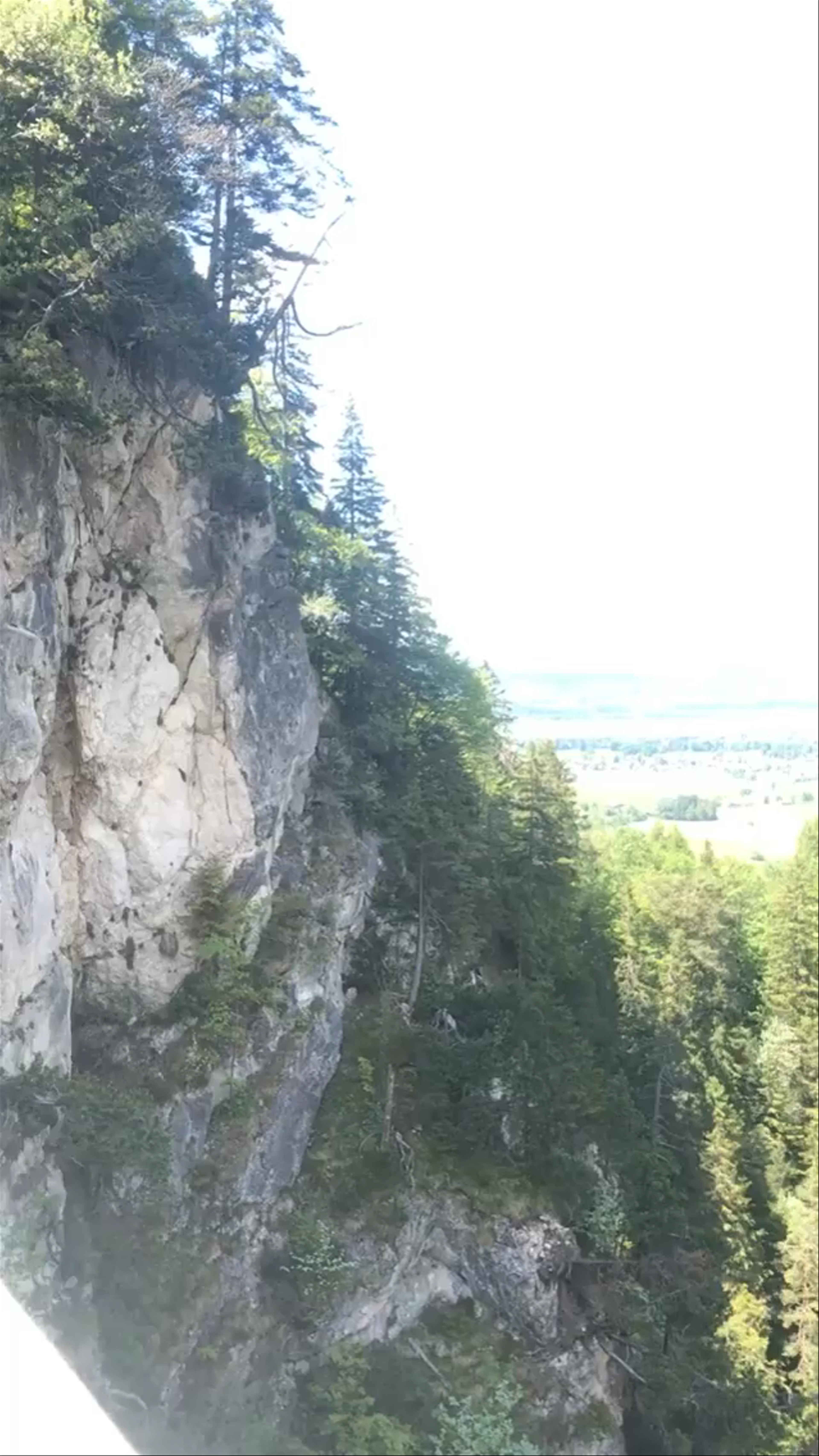 Neuschwanstein Castle: A Fairy Tale in the Bavarian Alps