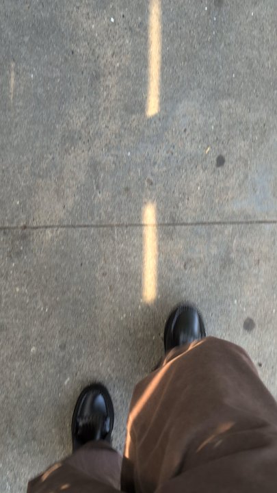 Venice Statepark - Beaches Near Me - Venice, California