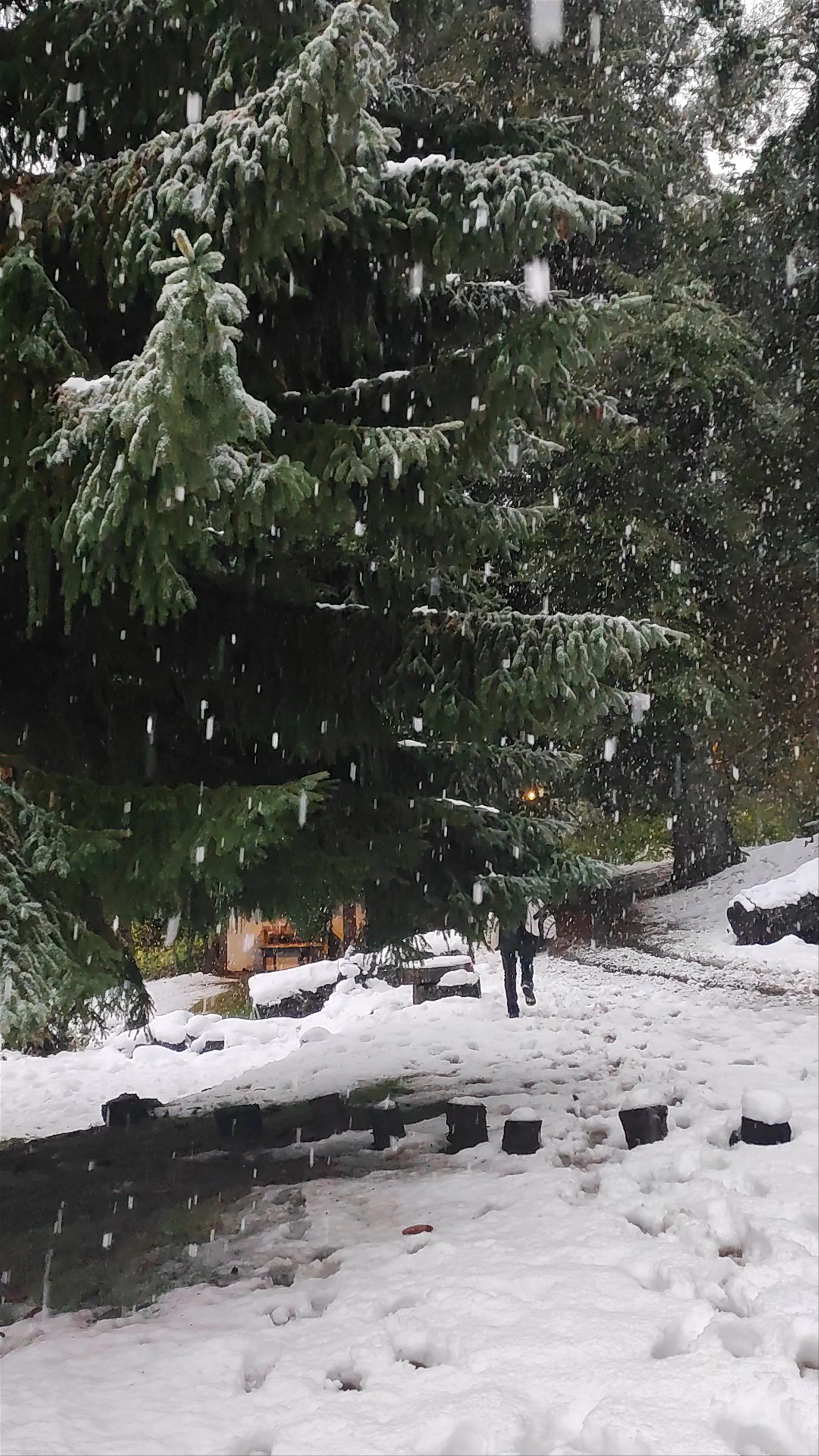 Circuito Chico Adventure