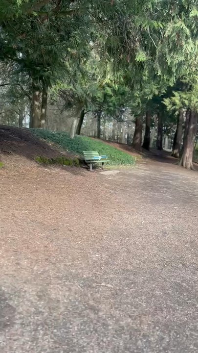 Laurelhurst Park - A view of the lake - Parks Near Me - Portland, Oregon