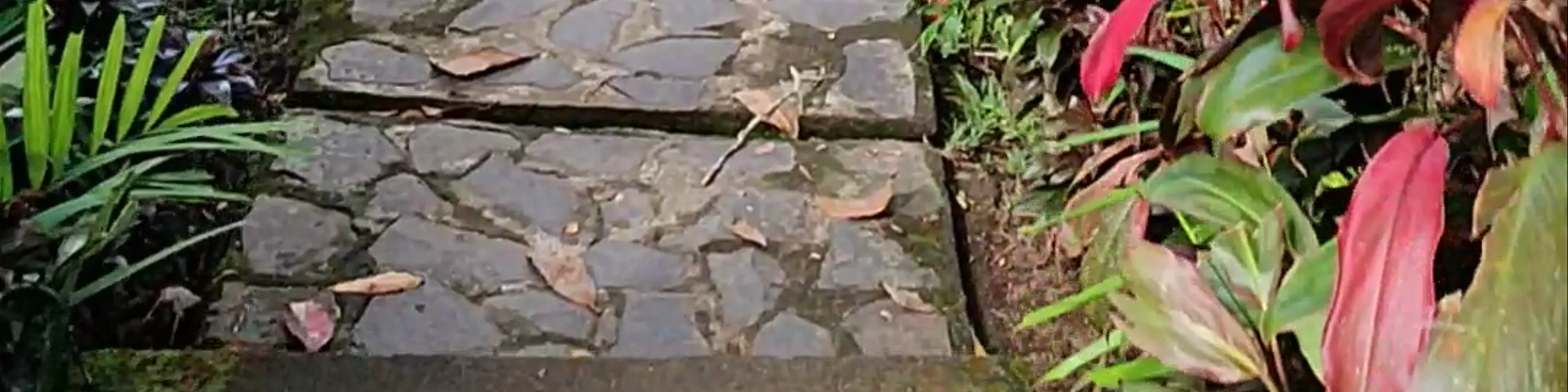 Pura Gunung Kawi Sebatu