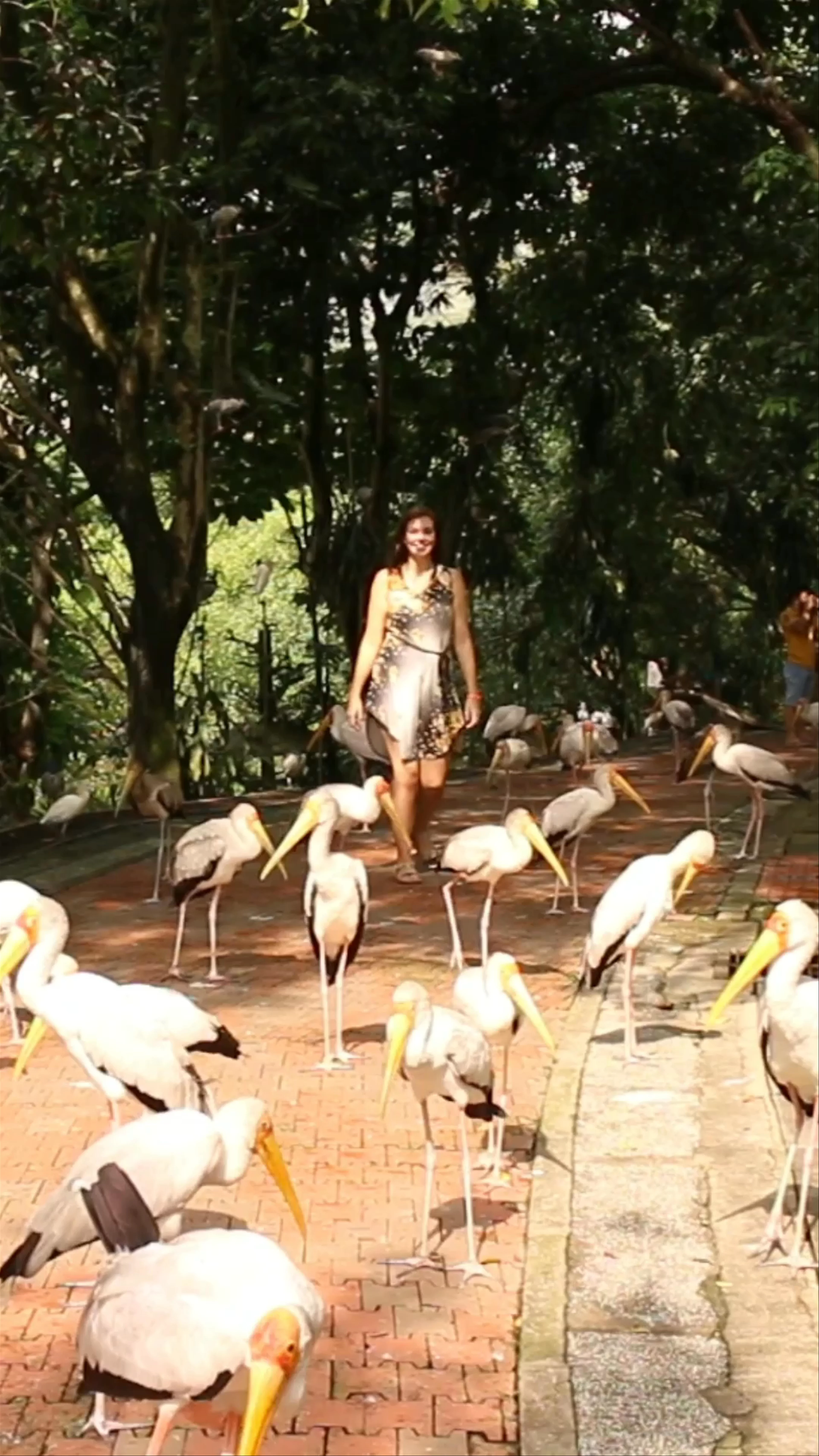 KL Bird Park, Perdana Botanical Gardens