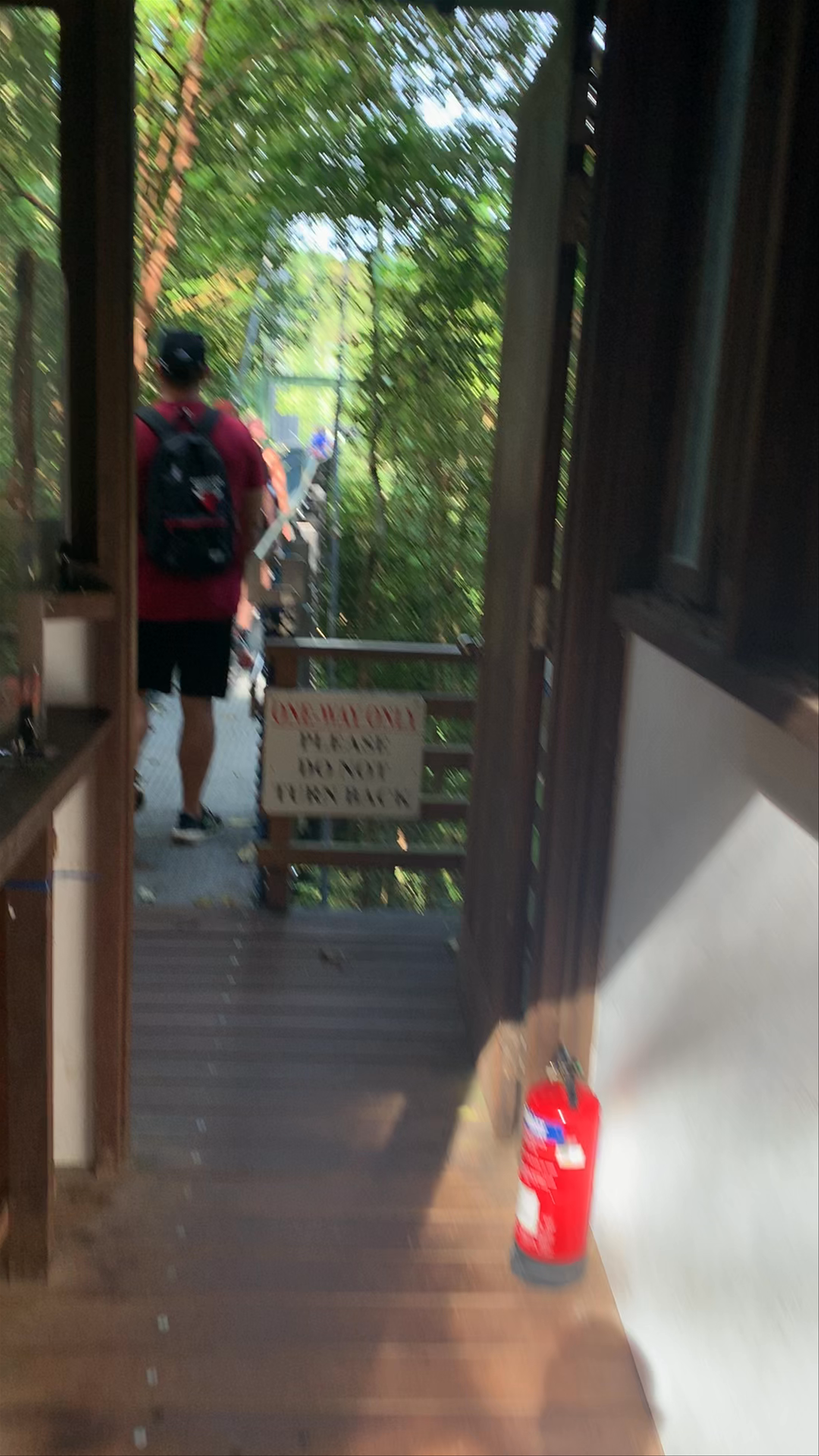 Macritchie Treetop Walk Trailhead