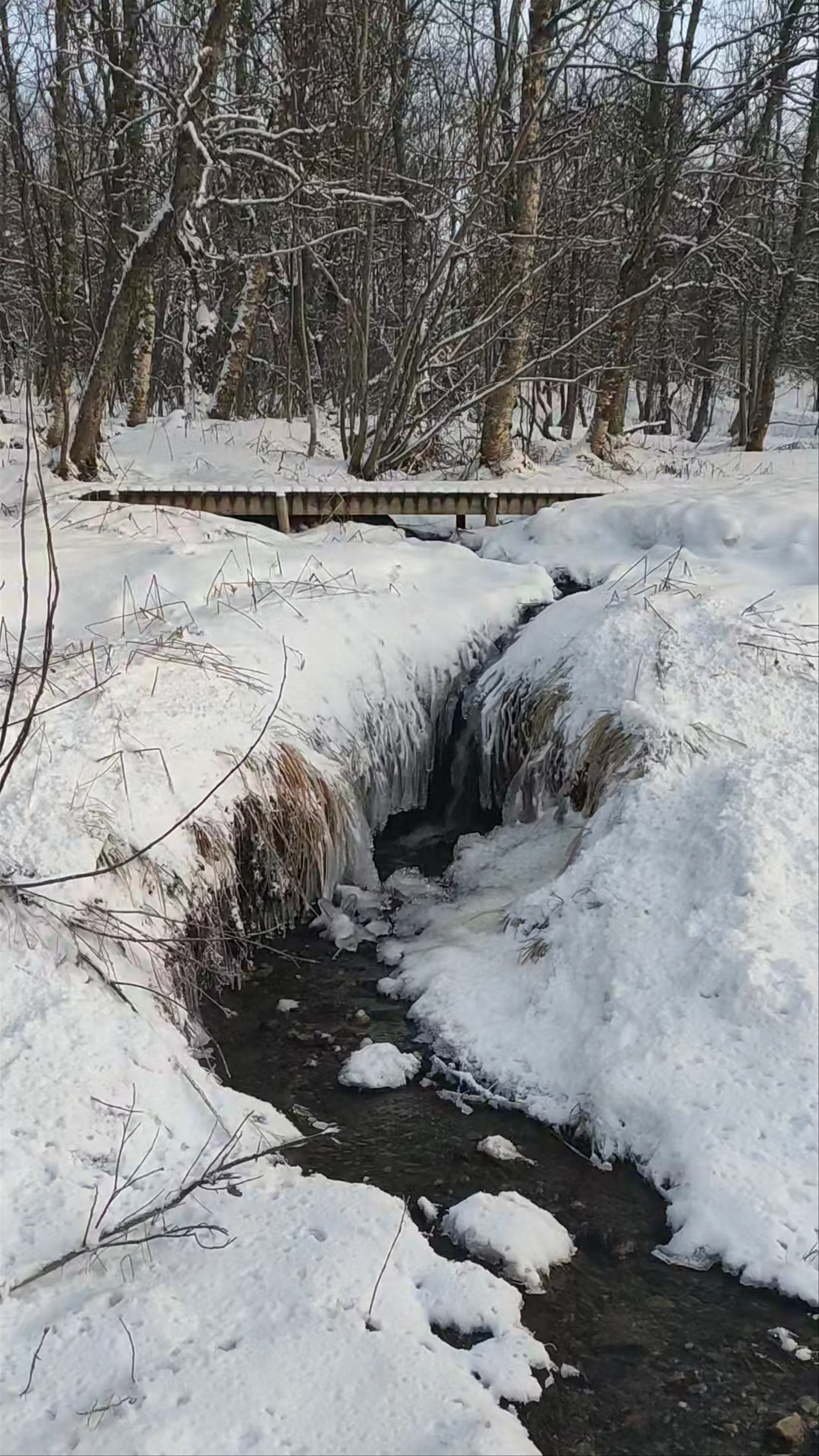 Telegrafbukta Treningpark, Kvaløyvegen, Tromsø