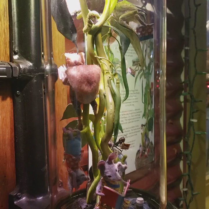 Green Bean Books - Quintessential children's book shop in the Alberta neighborhood. Here's a diorama celebrating the wonder of books. 1 - Bookstores Near Me - Portland, Oregon