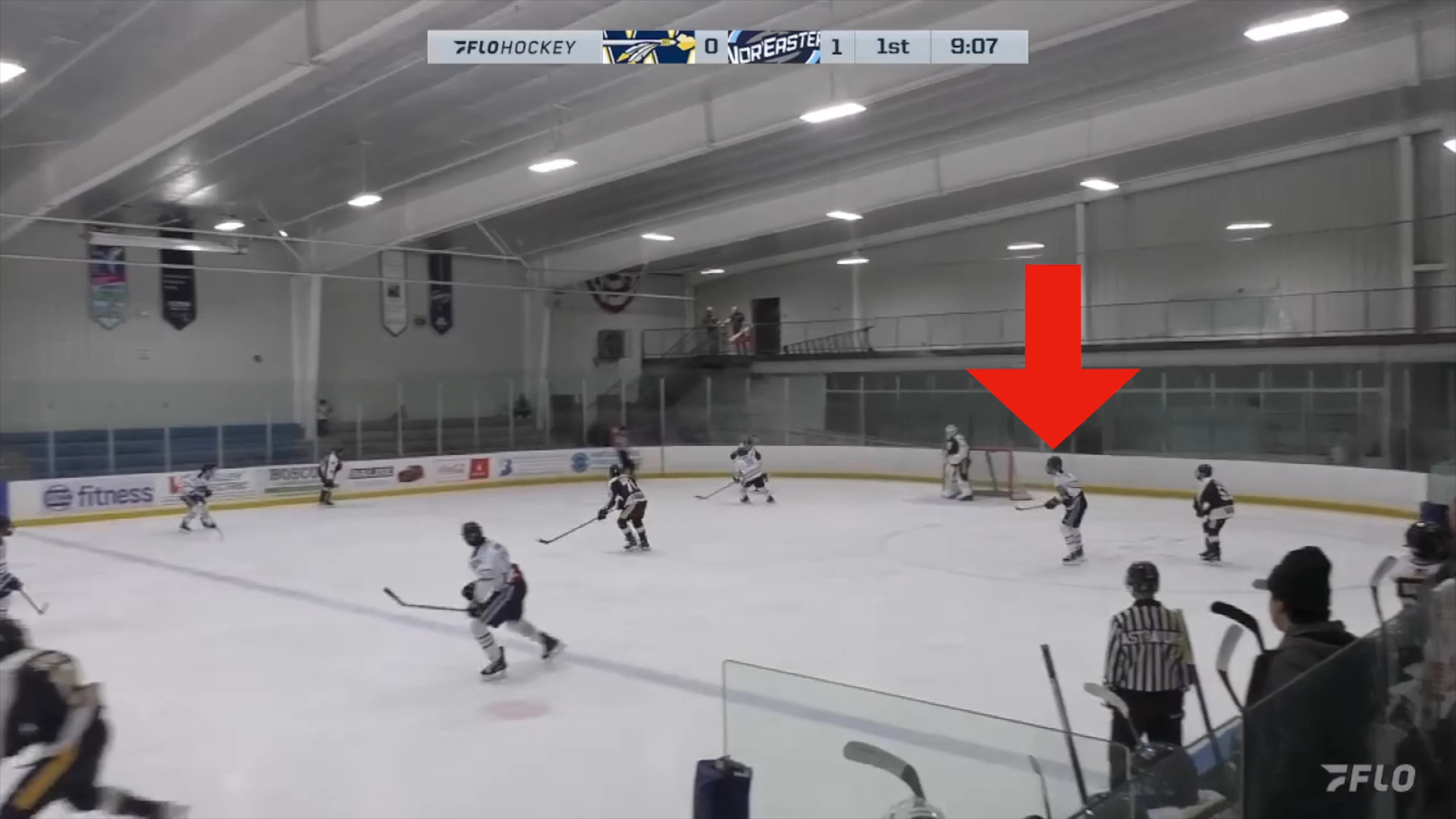 Josh Bluestein's Highlights