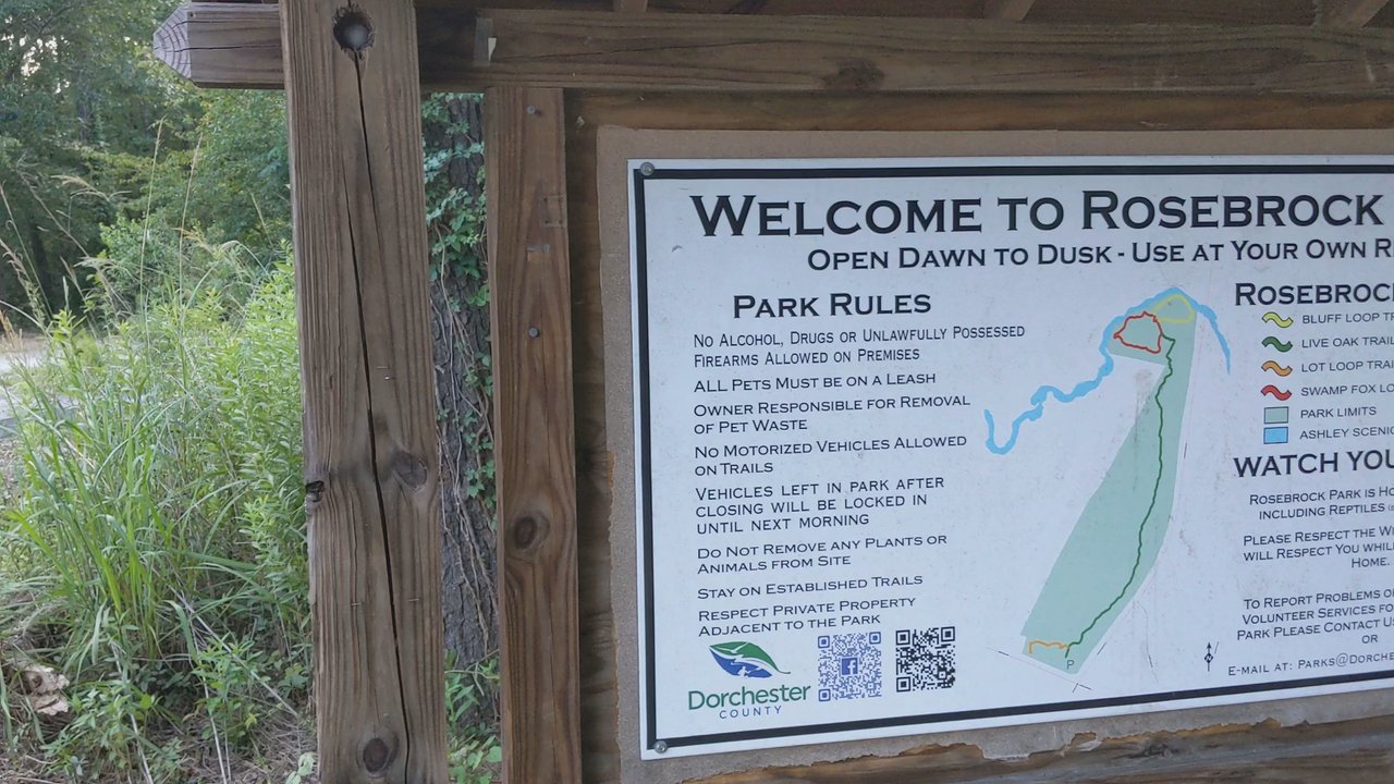 Rosebrock Park - Rosebrock Park - Parks Near Me - Summerville, South Carolina