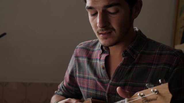 Musician playing the ukulele