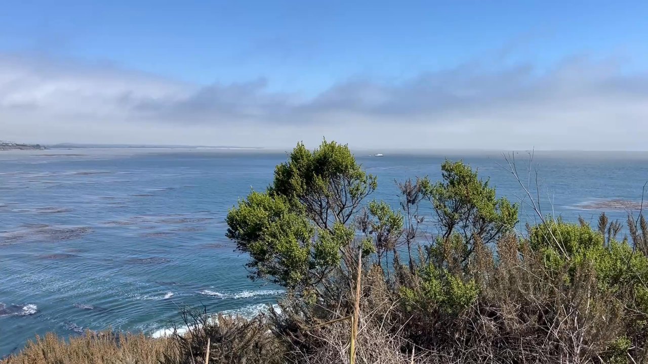 Pirate's Cove - Beaches Near Me