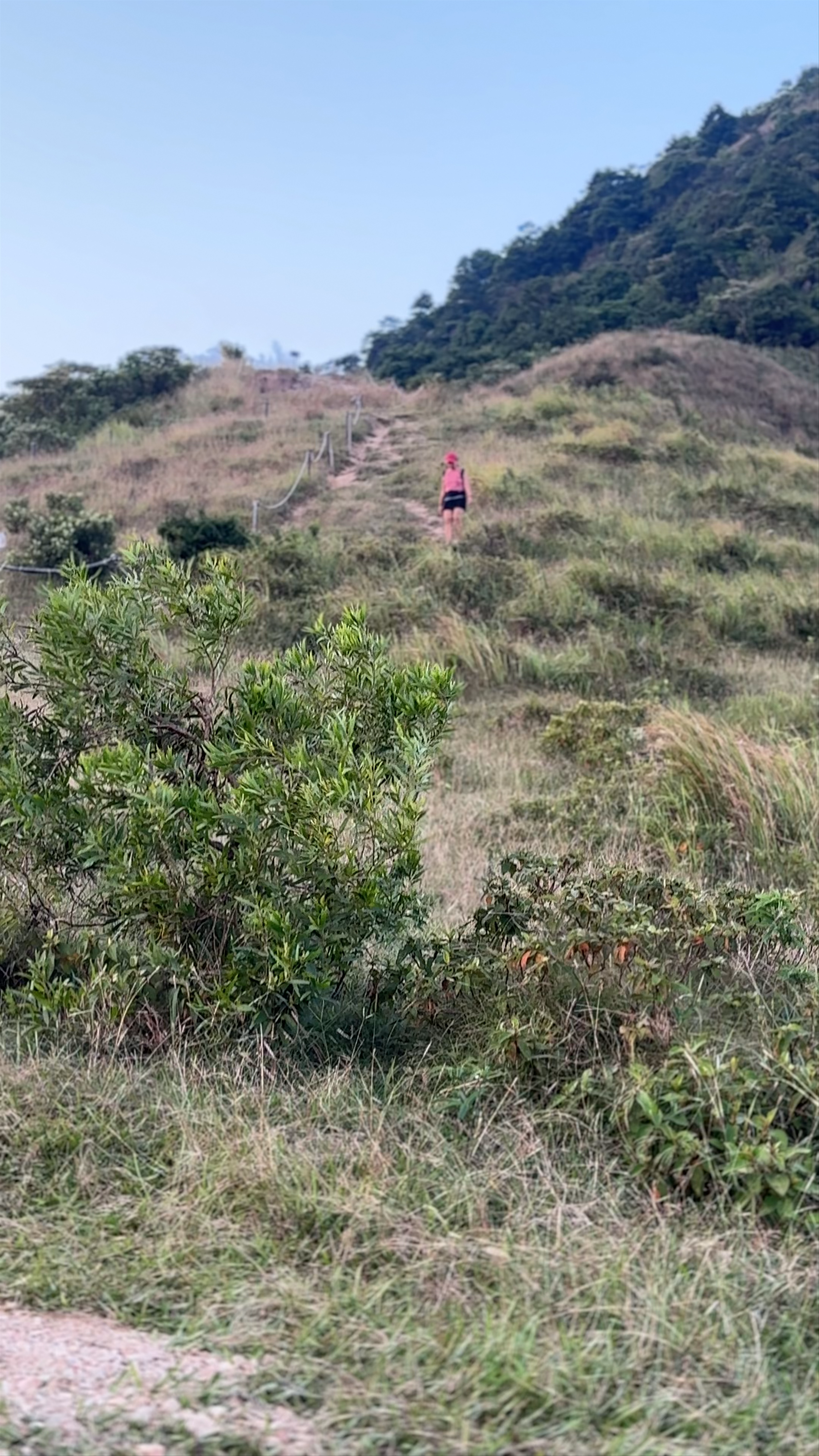 Hiking Pyramid Hill: A Scenic Escape in Ma On Shan, Hong Kong