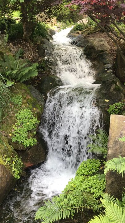 Schnormeier Gardens - Botanical Gardens Near Me - Gambier, Ohio