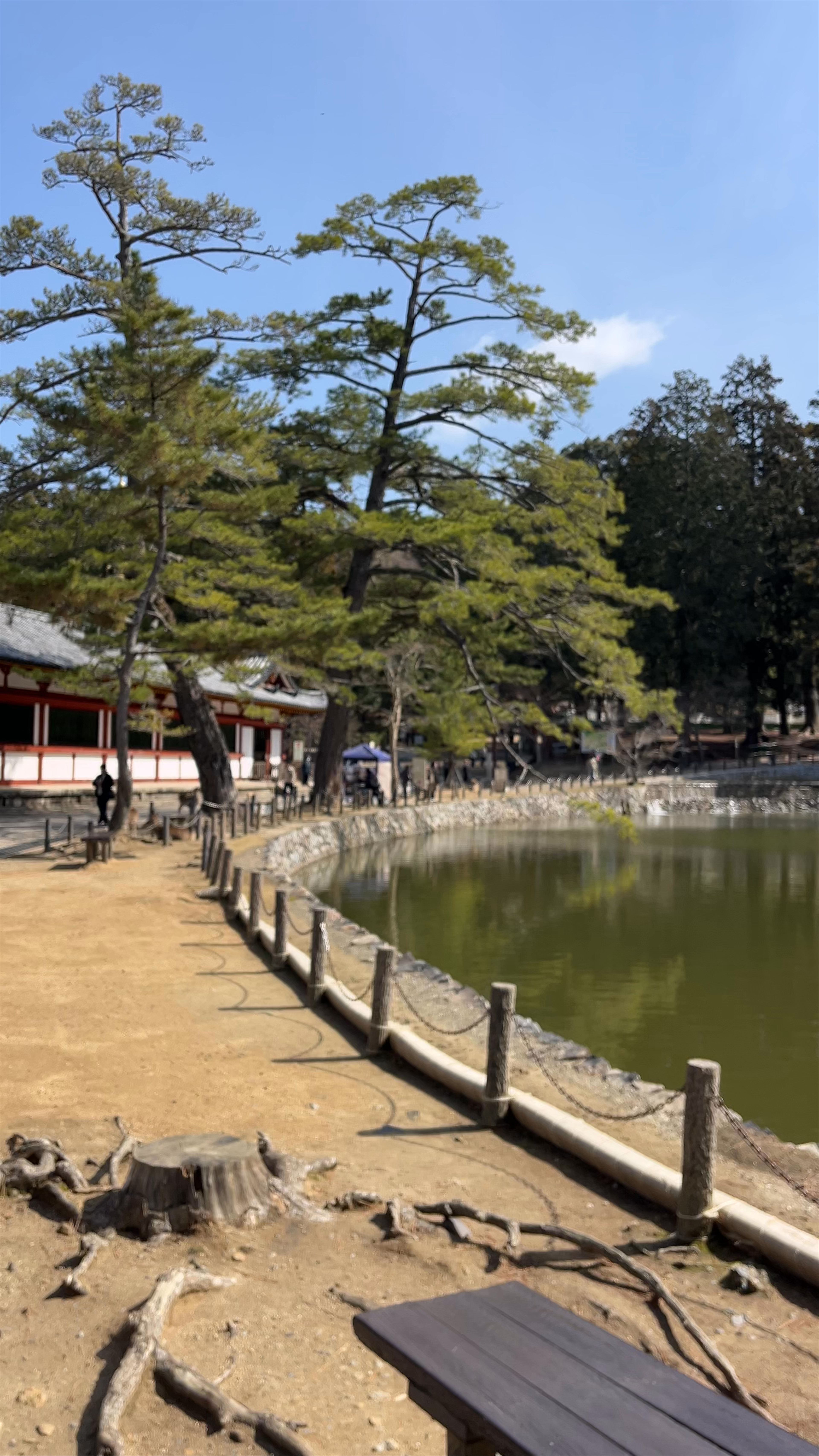 Todaiji Kagami-ike Pond