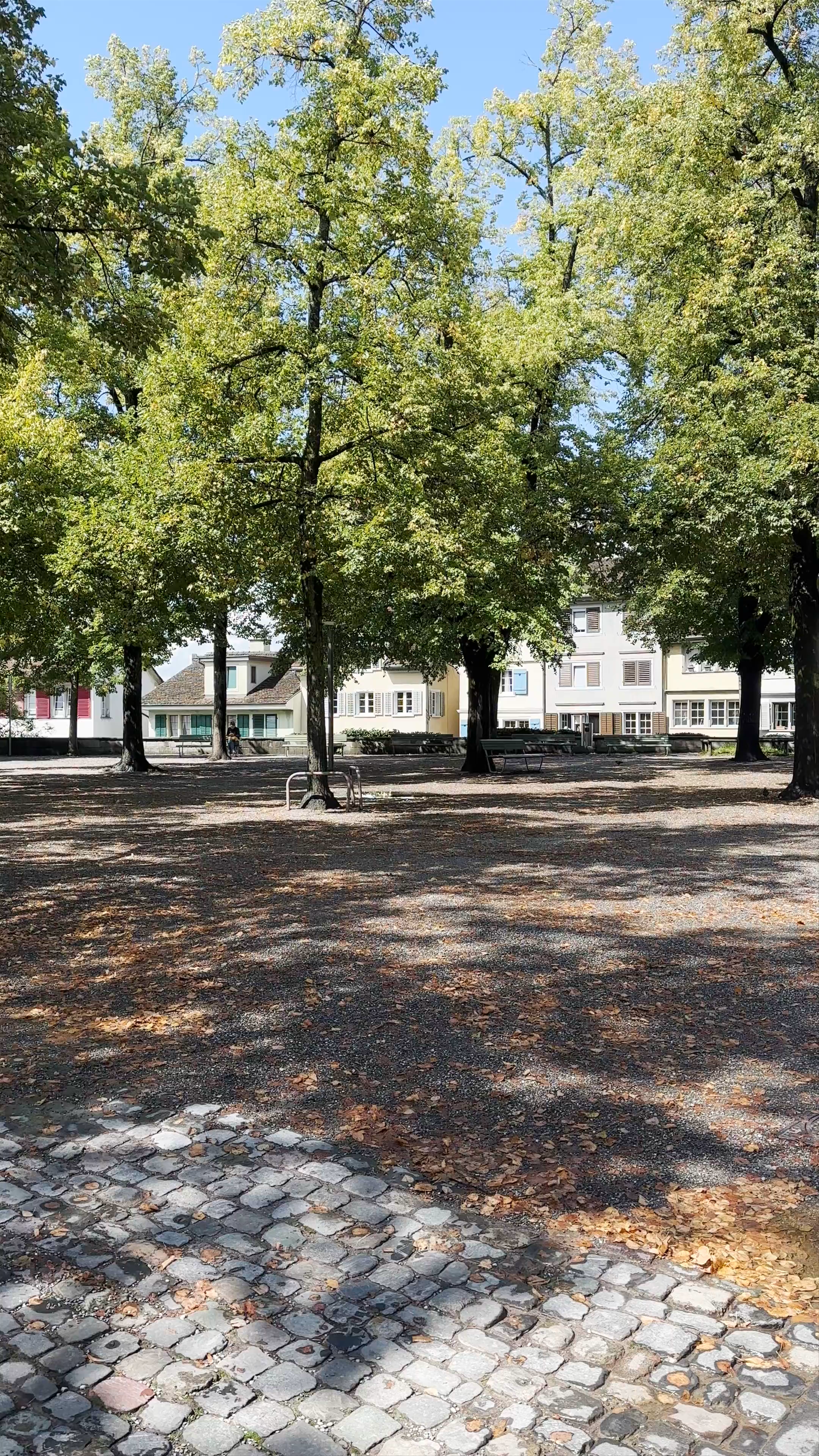 Lindenhof