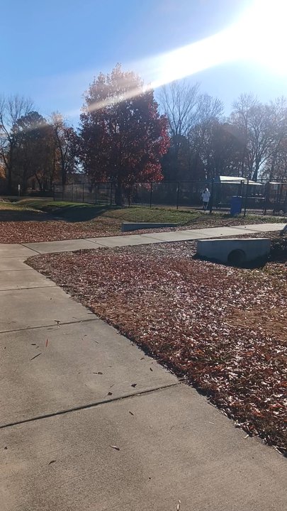 The Bark Park - Dog Parks Near Me
